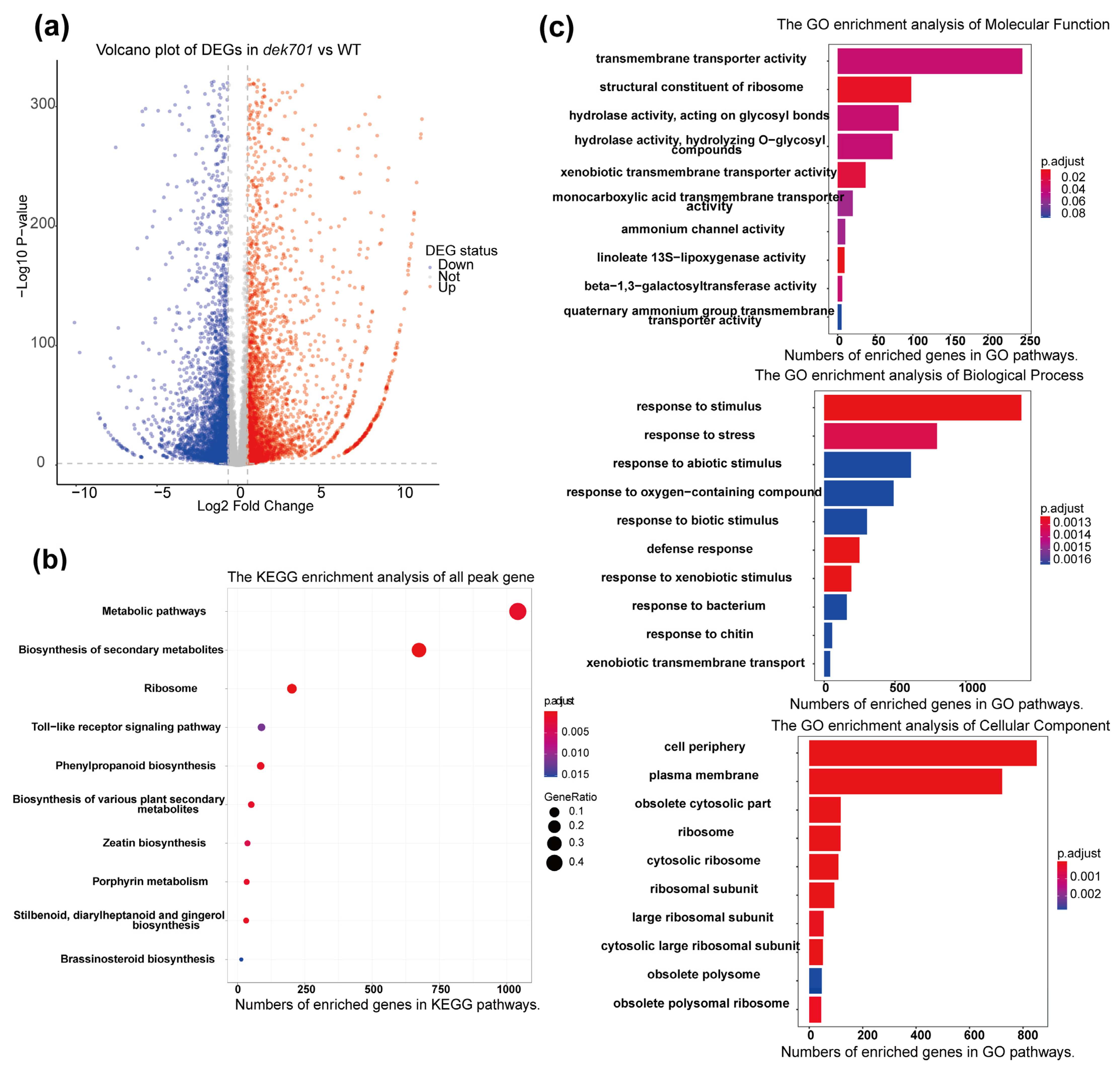 Plants 14 00941 g003