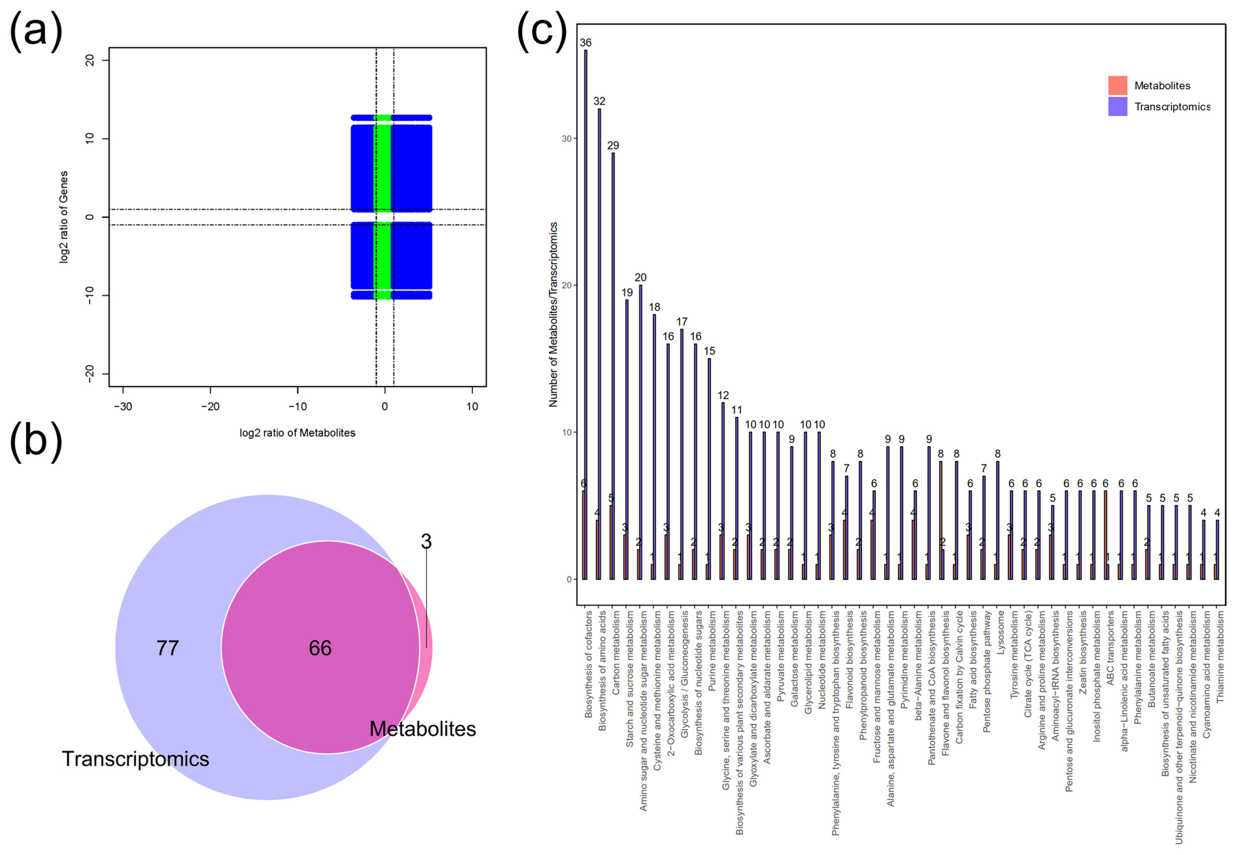 Plants 14 00941 g006