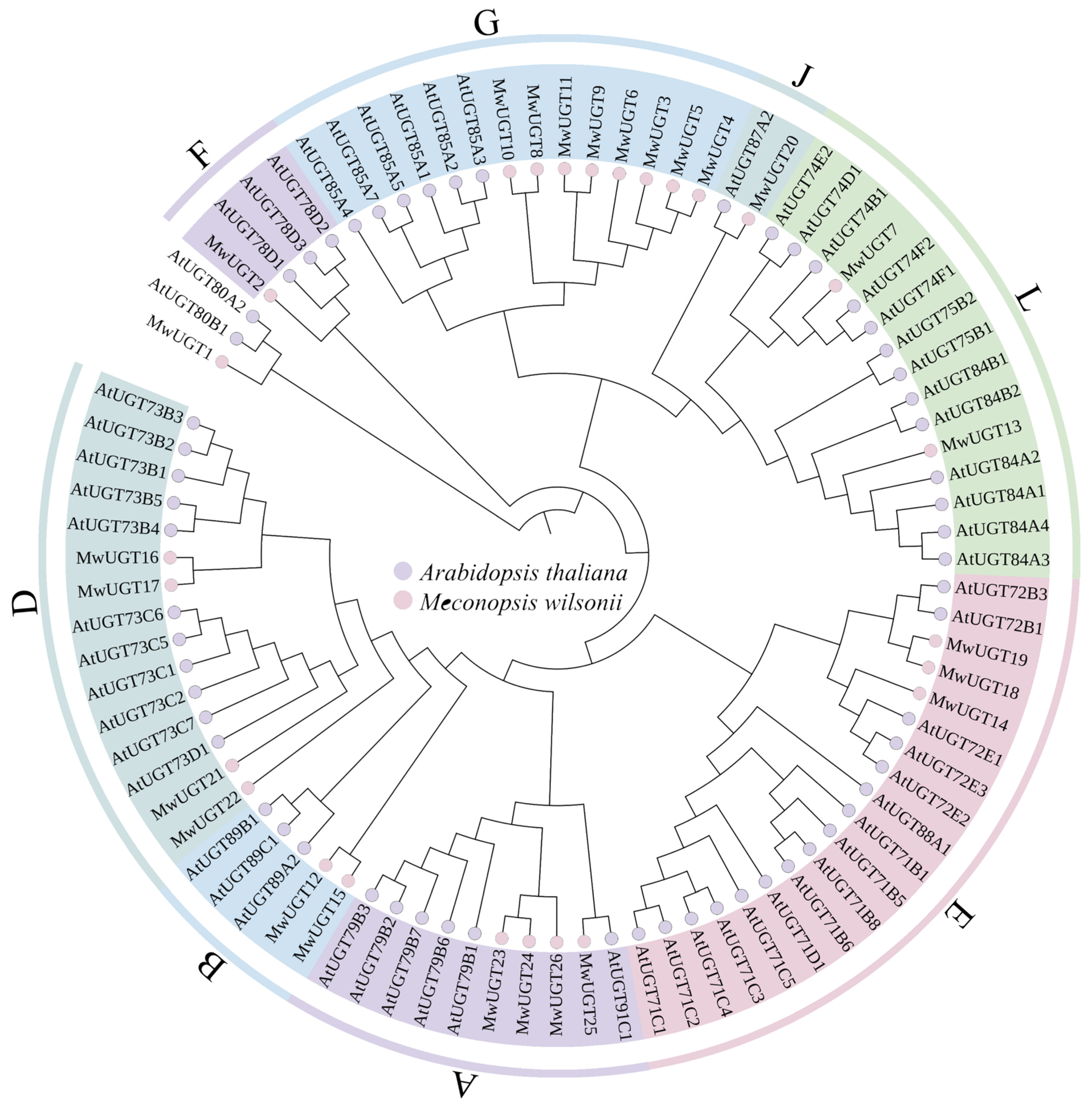 Plants 14 00944 g001