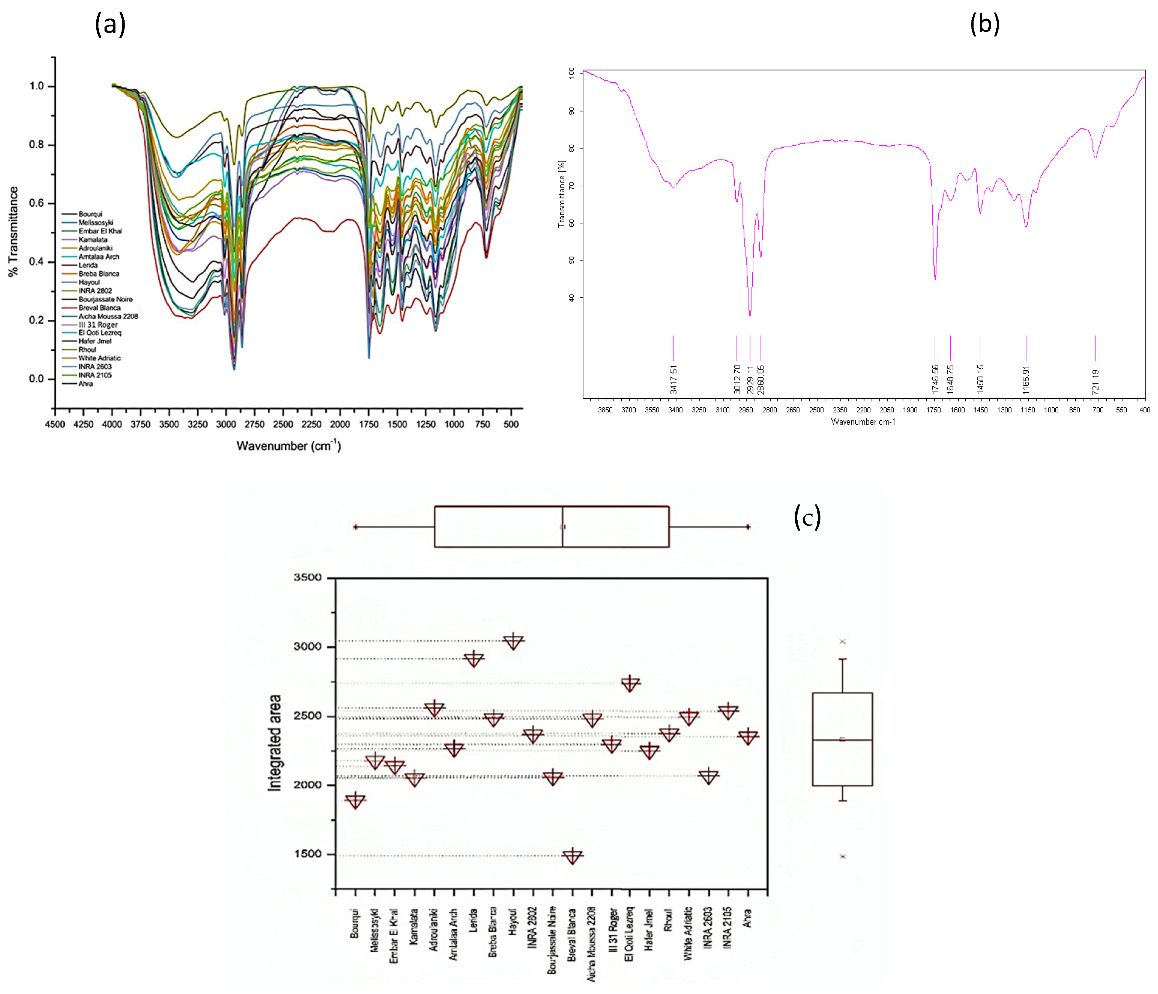 Plants 14 00945 g002