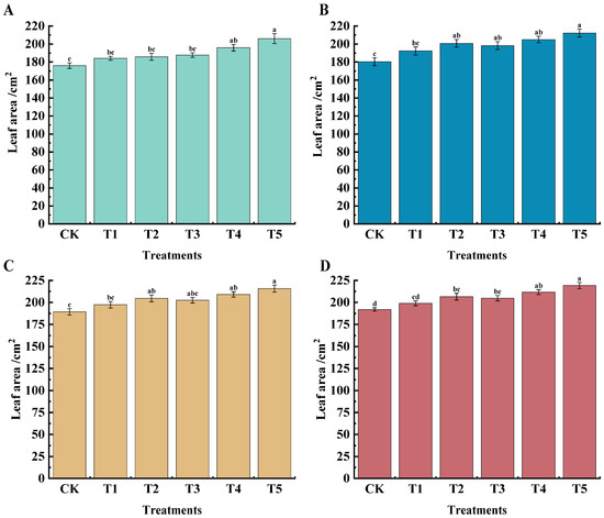 Temporal Variations in Photosynthesis and Leaf Element Contents of