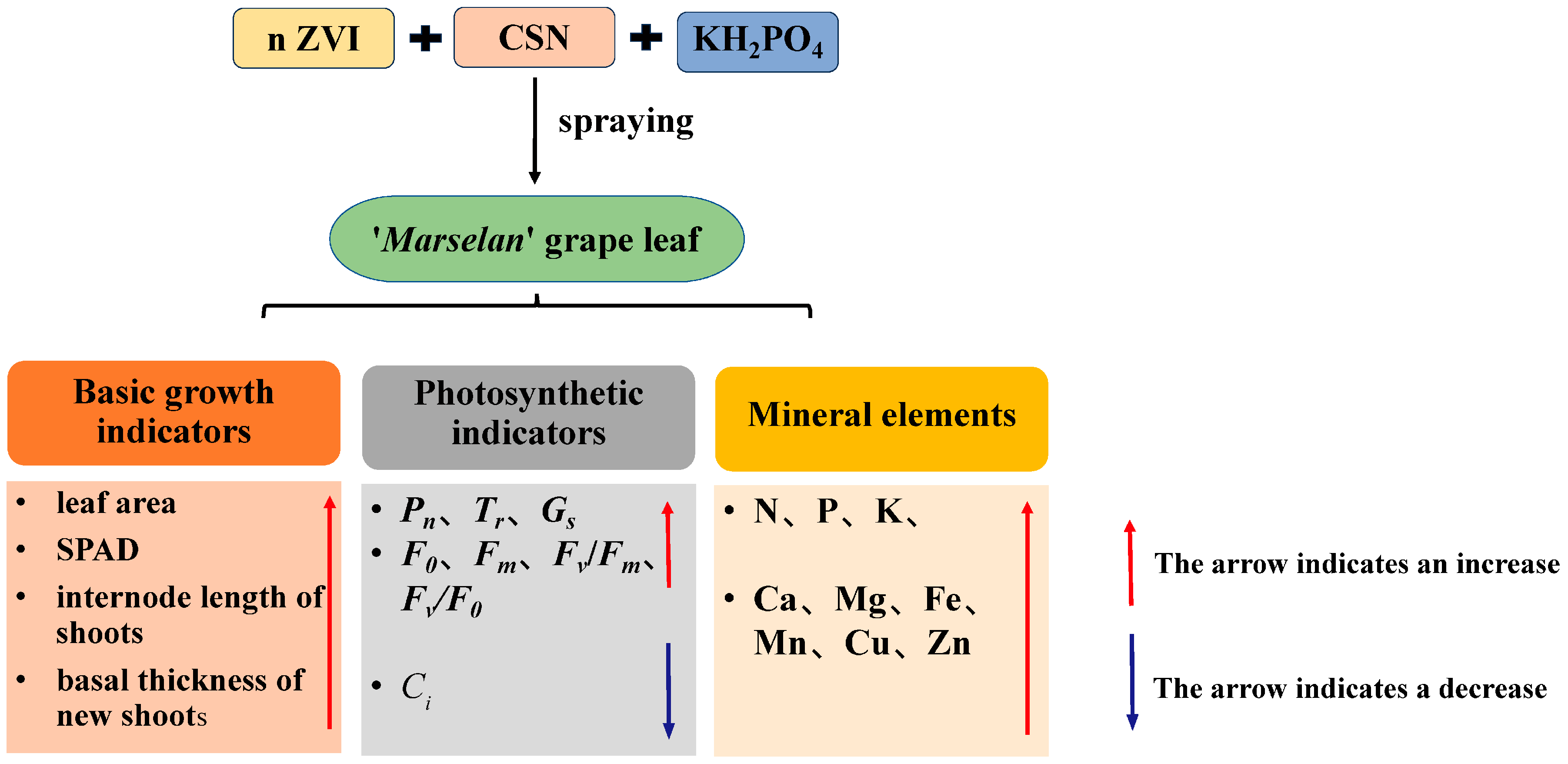 Plants 14 00946 g006