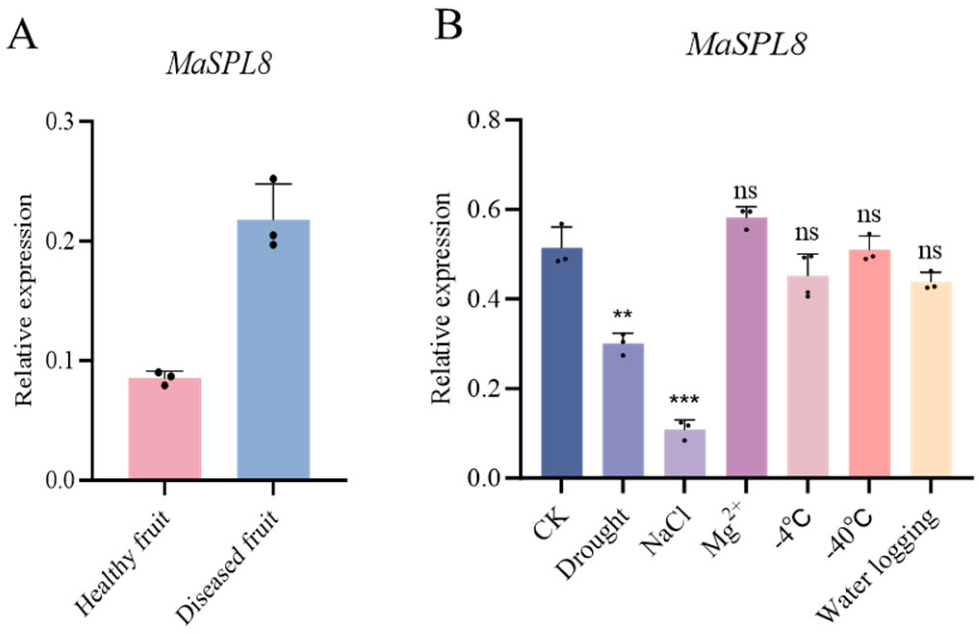 Plants 14 00950 g002