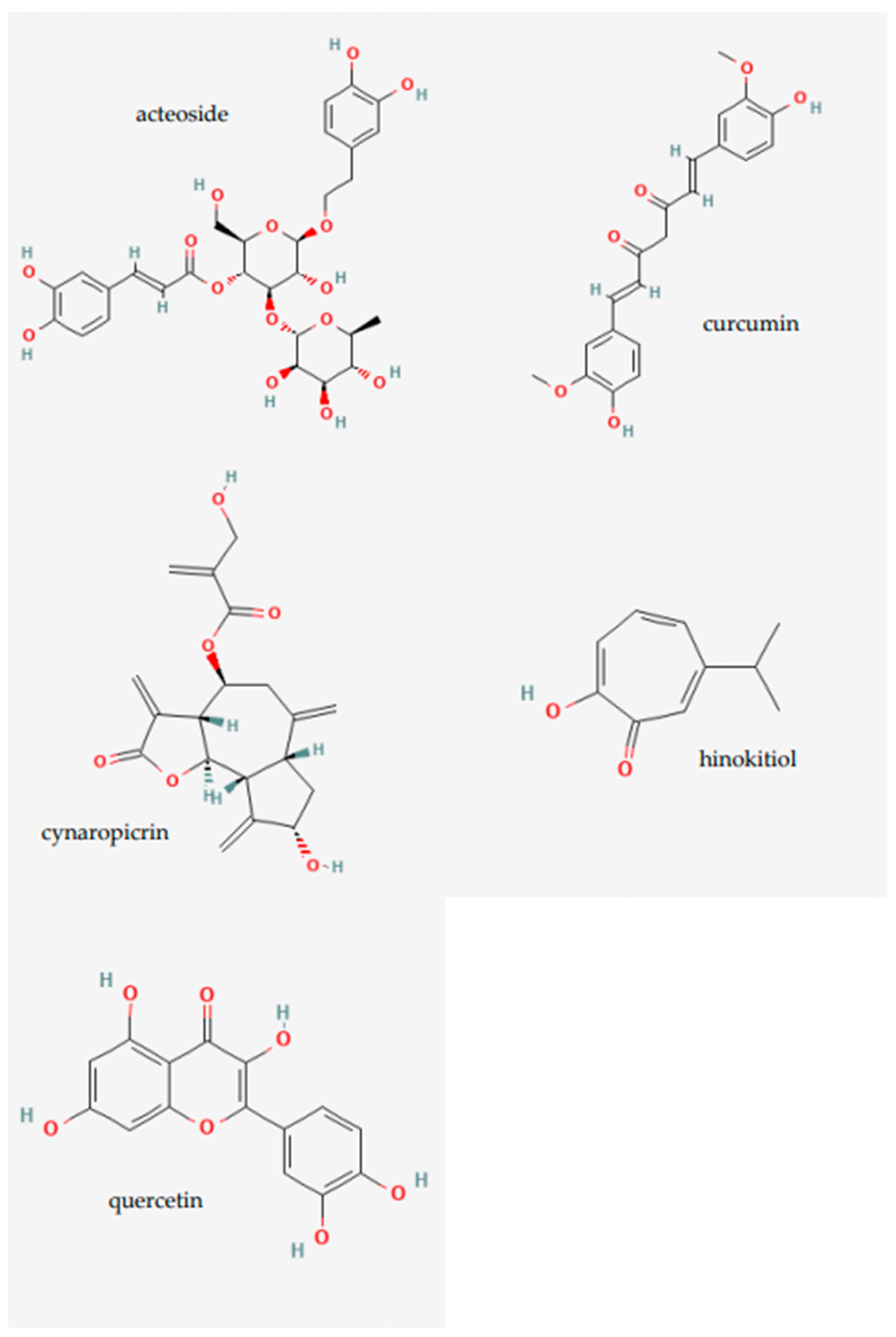 Plants 14 00951 g005