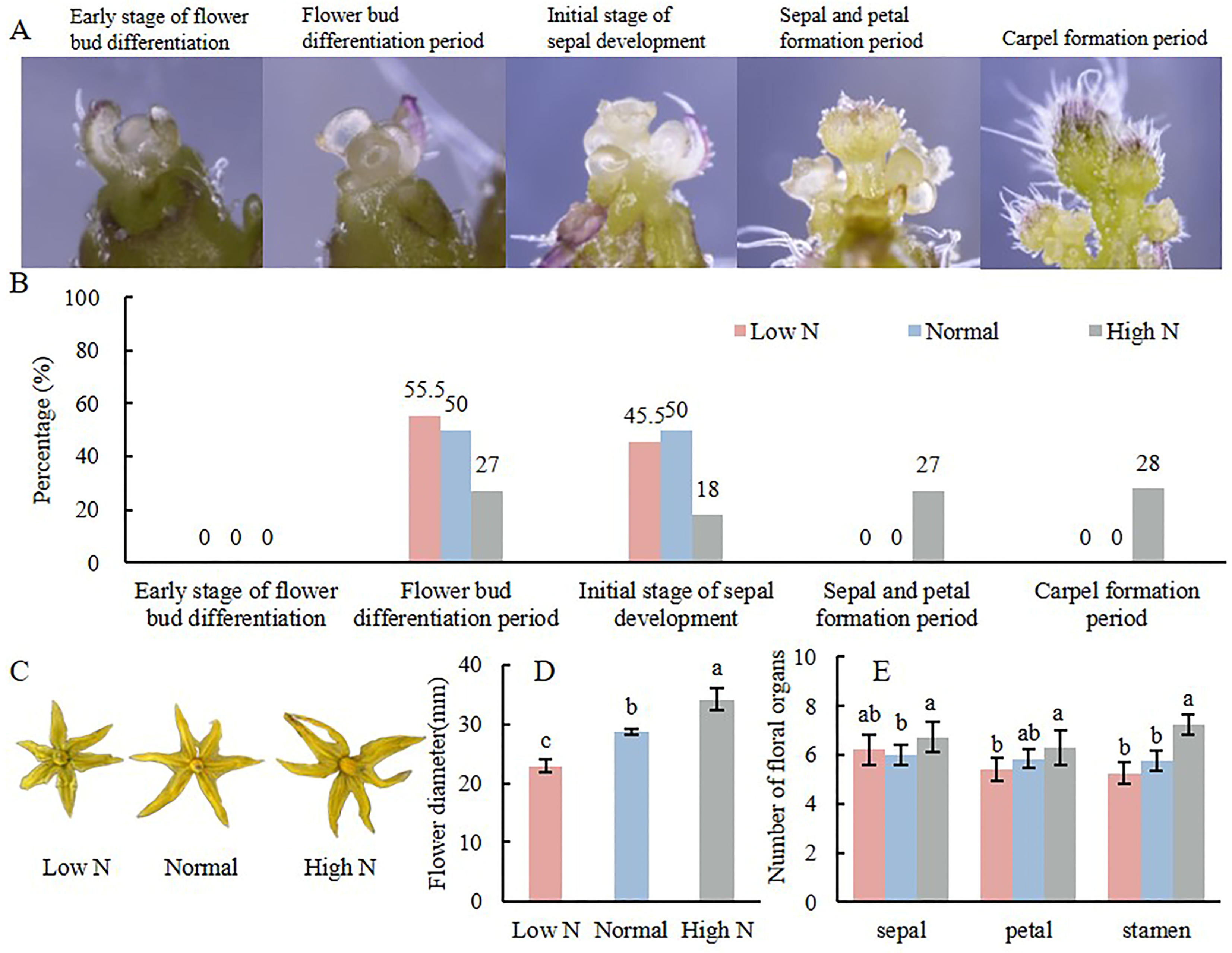 Plants 14 00952 g001