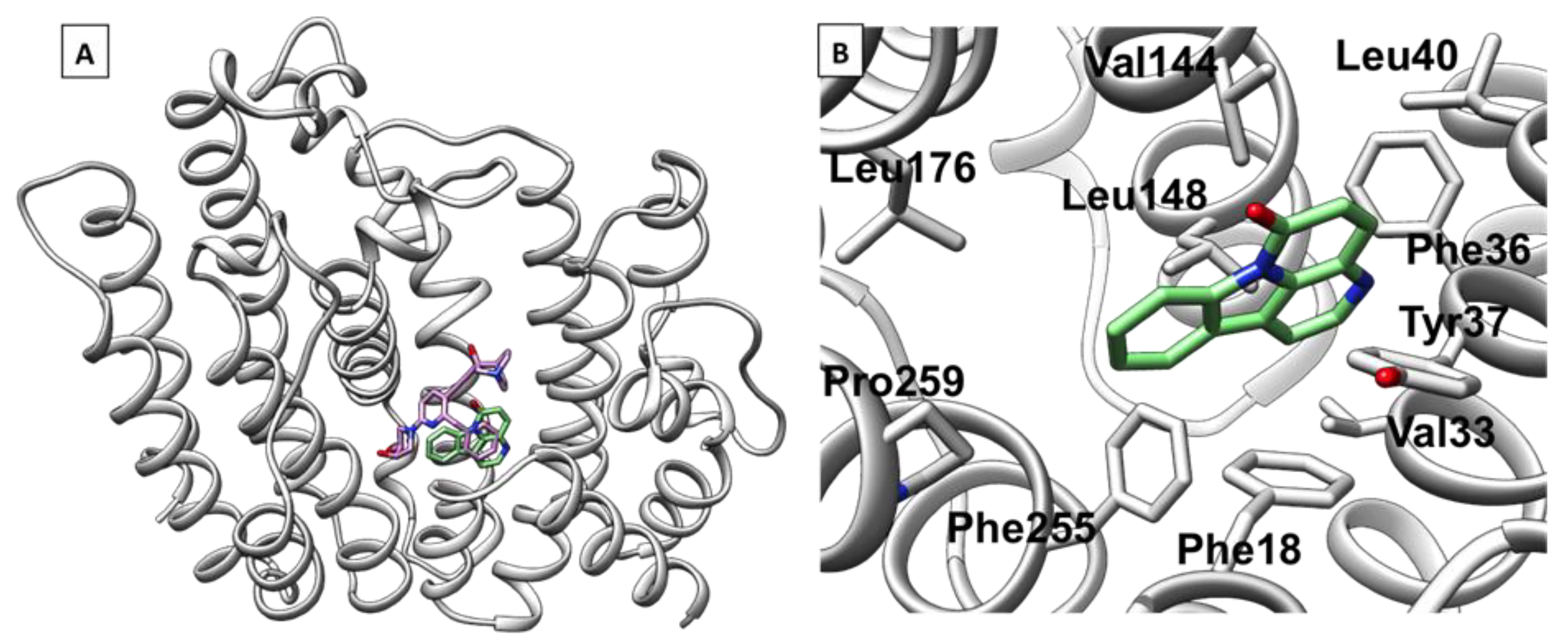 Plants 14 00954 g002