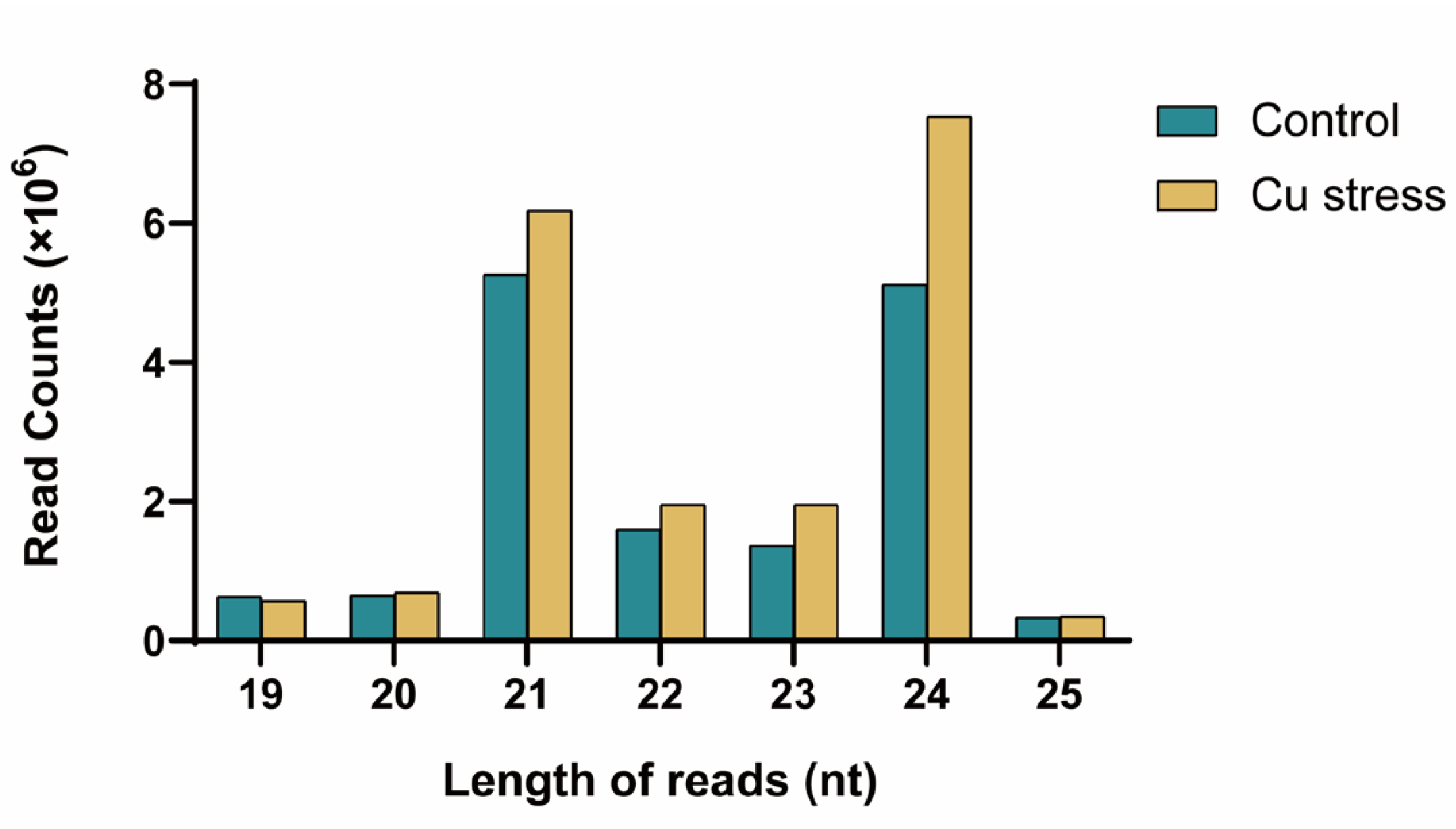 Plants 14 00955 g001