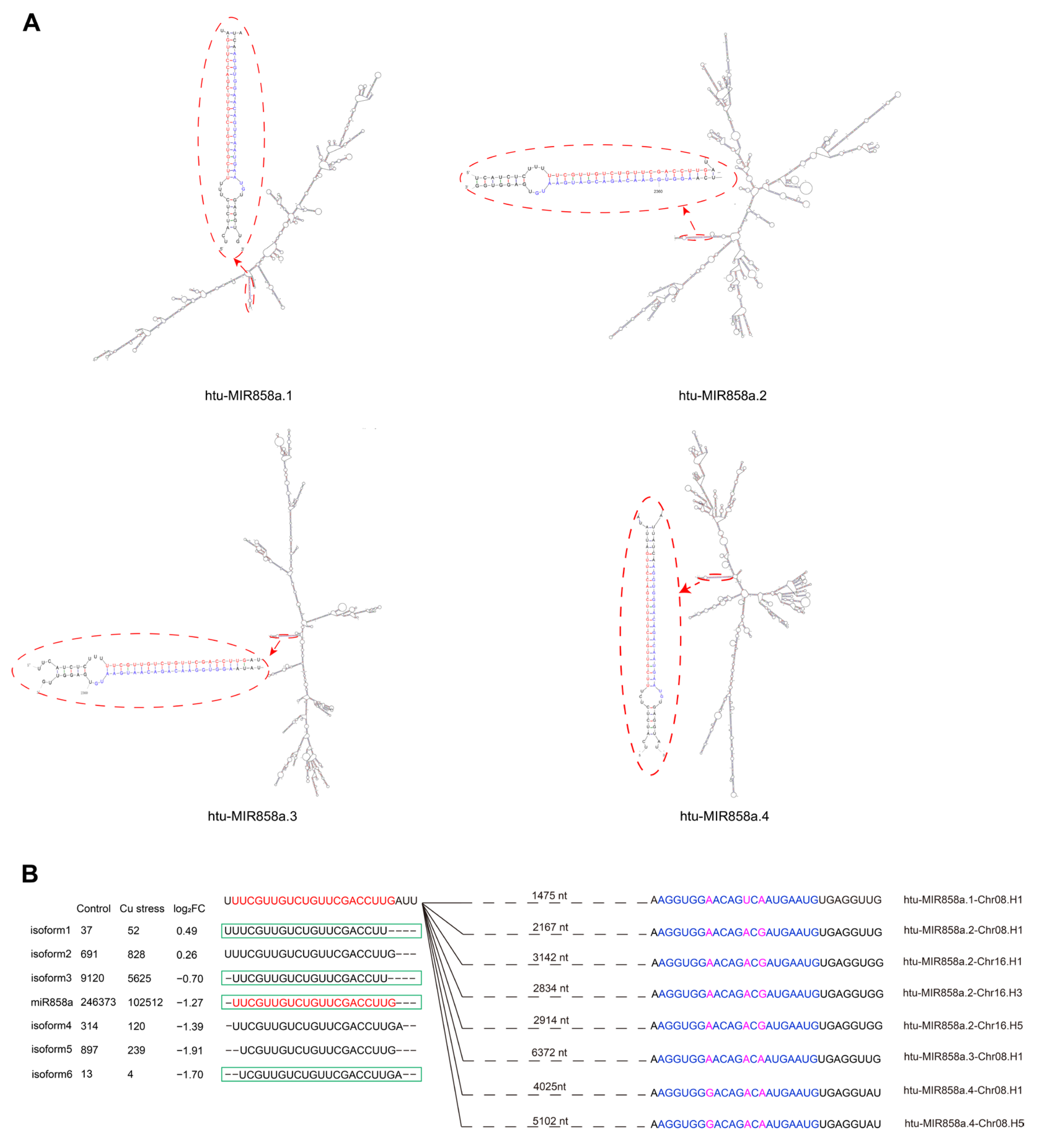 Plants 14 00955 g002