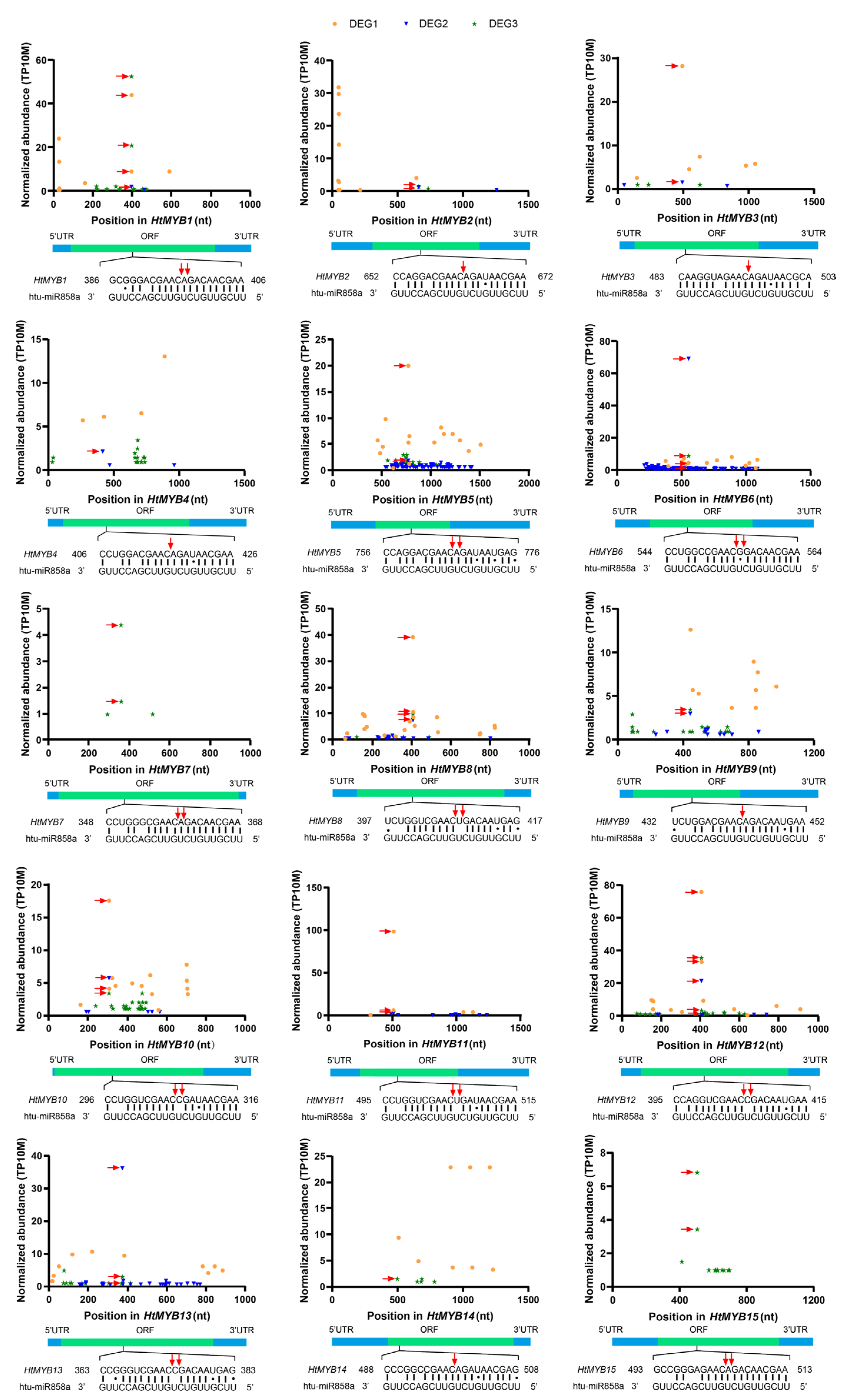 Plants 14 00955 g005
