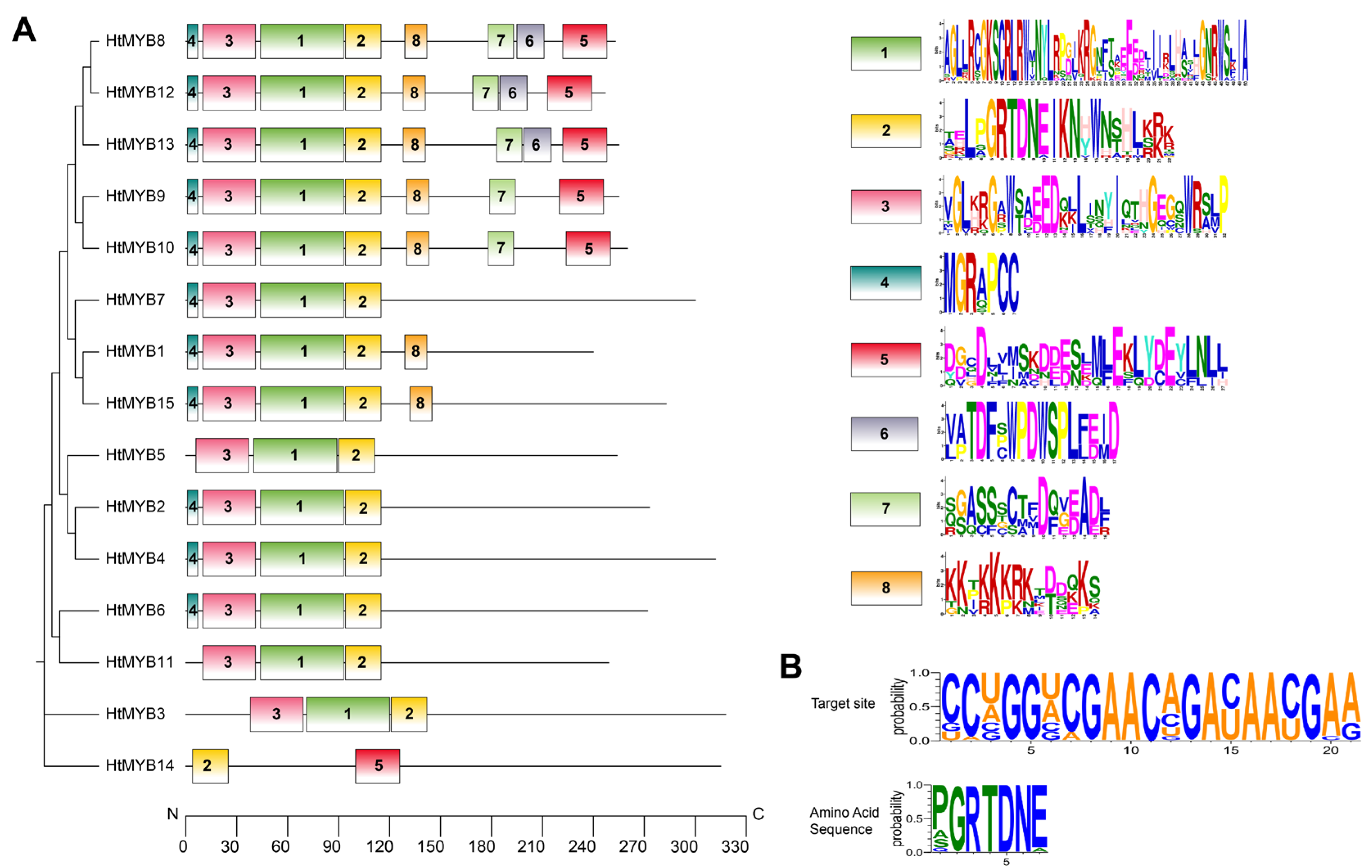 Plants 14 00955 g006