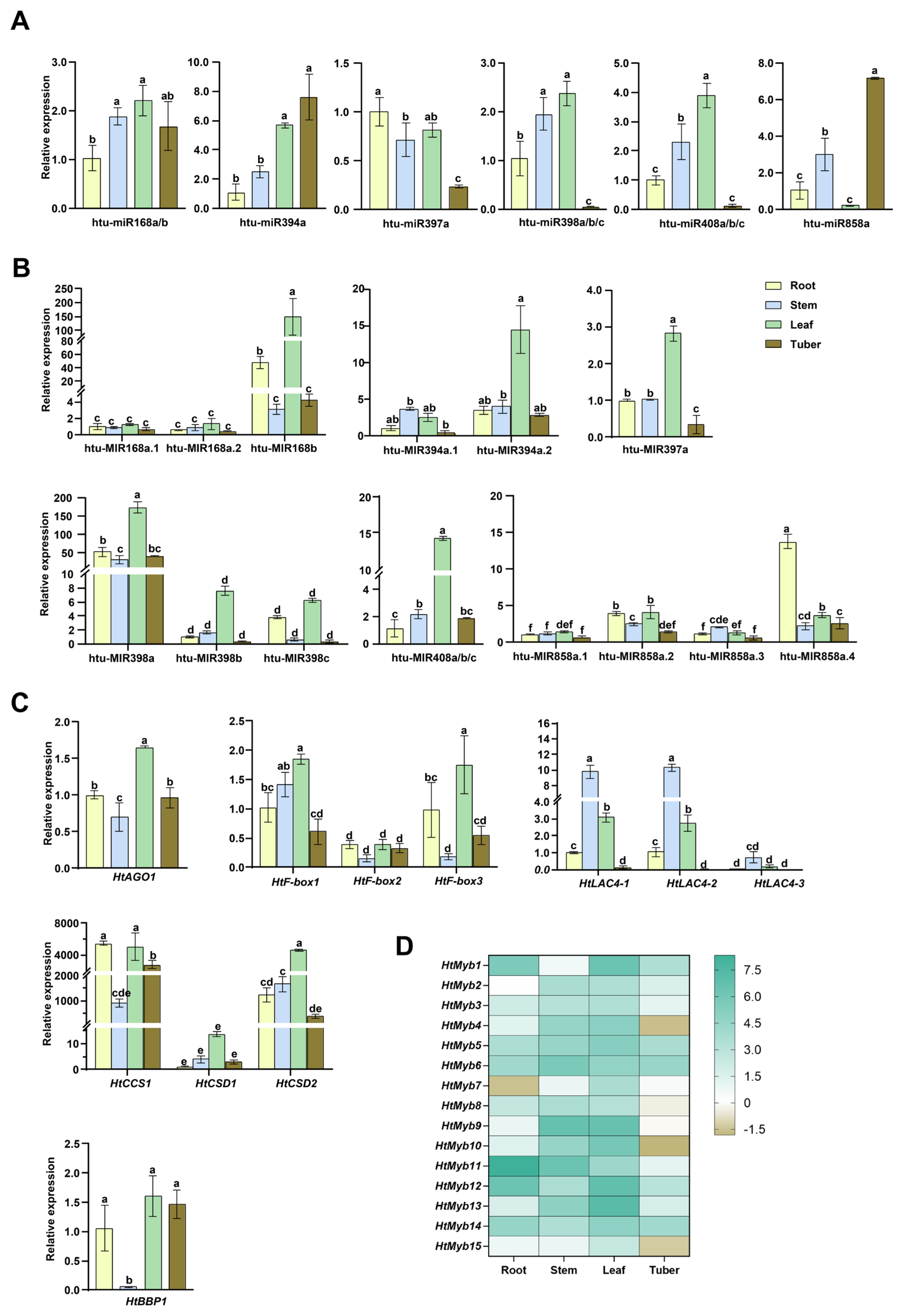 Plants 14 00955 g007