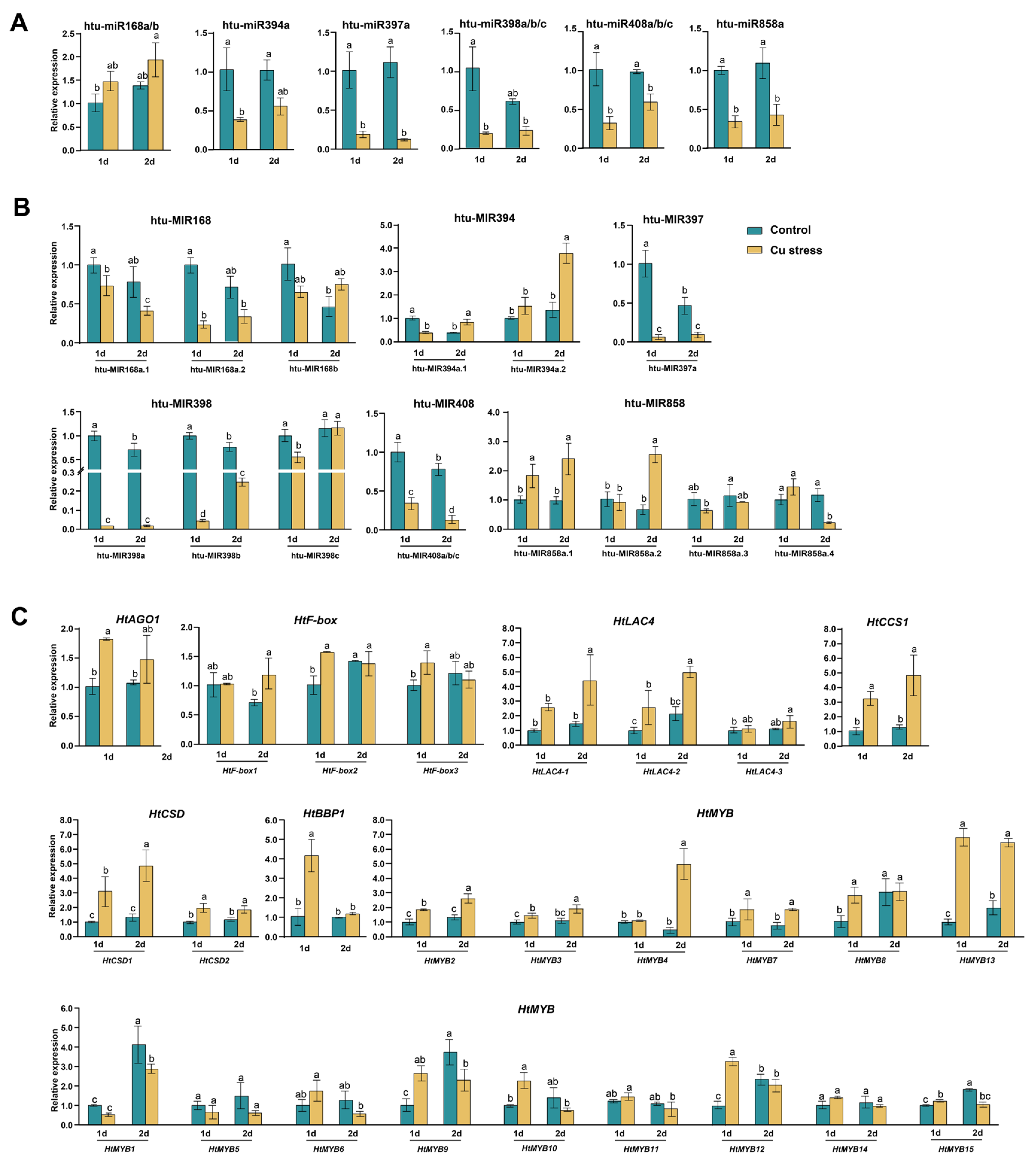Plants 14 00955 g008