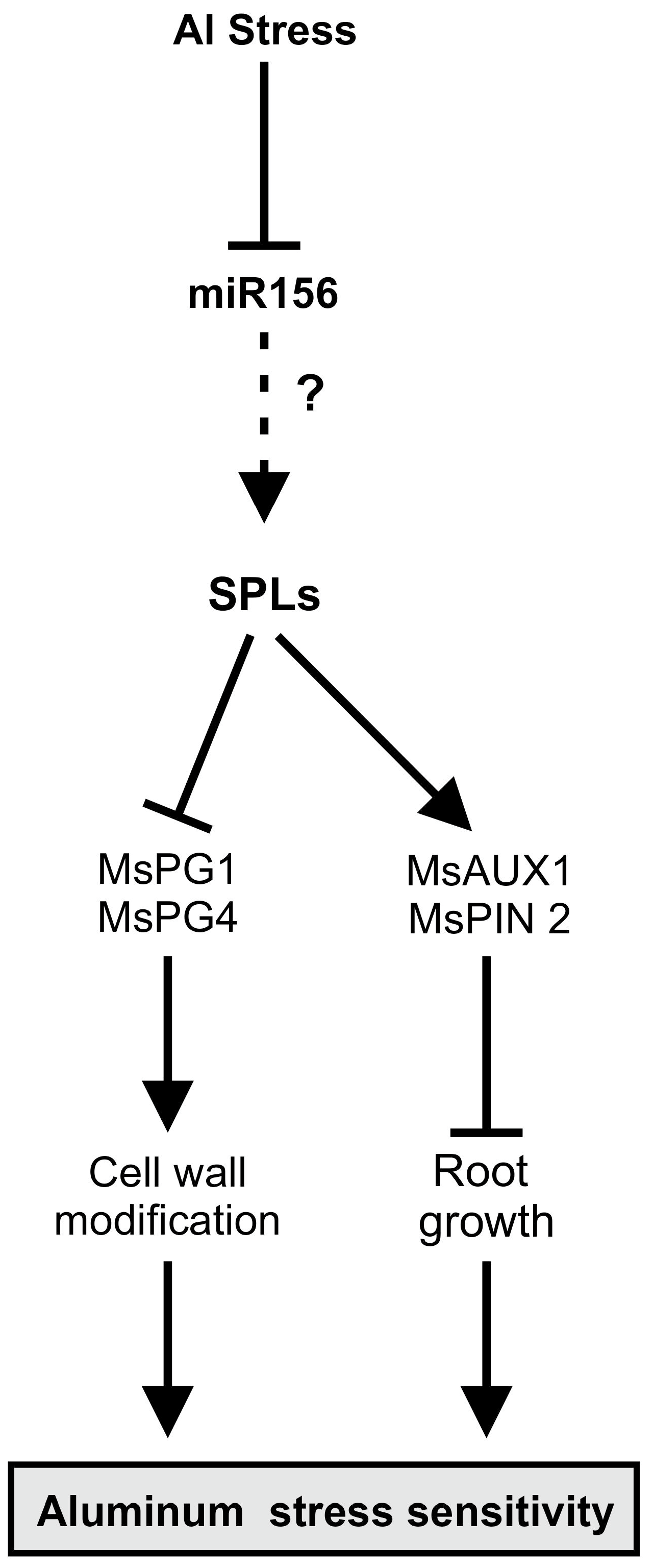 Plants 14 00958 g010