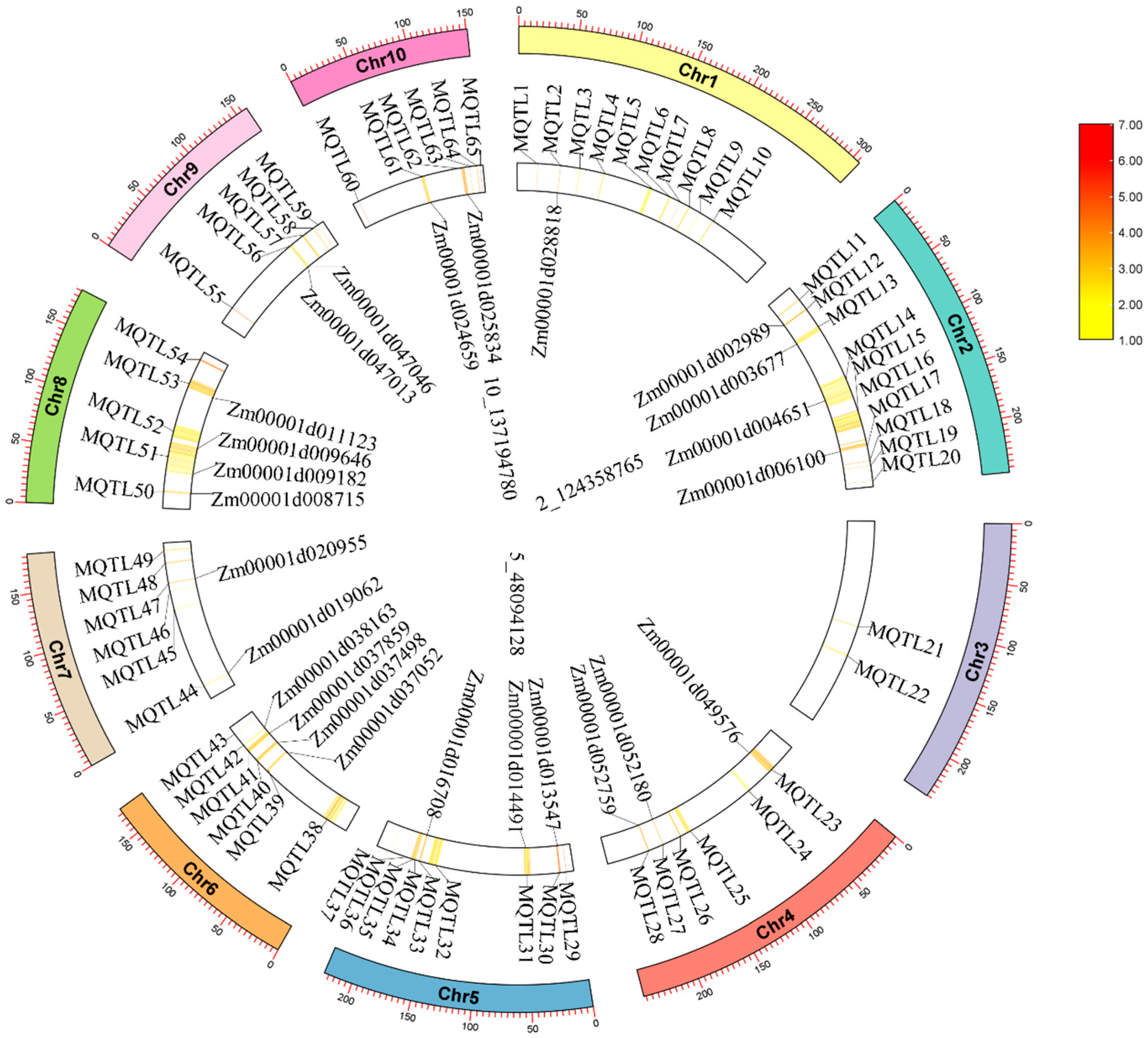 Plants 14 00959 g003
