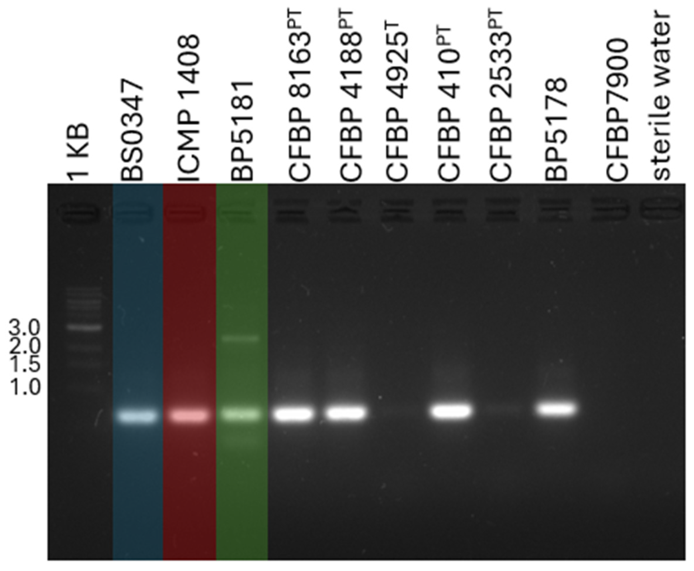 Plants 14 00964 g001