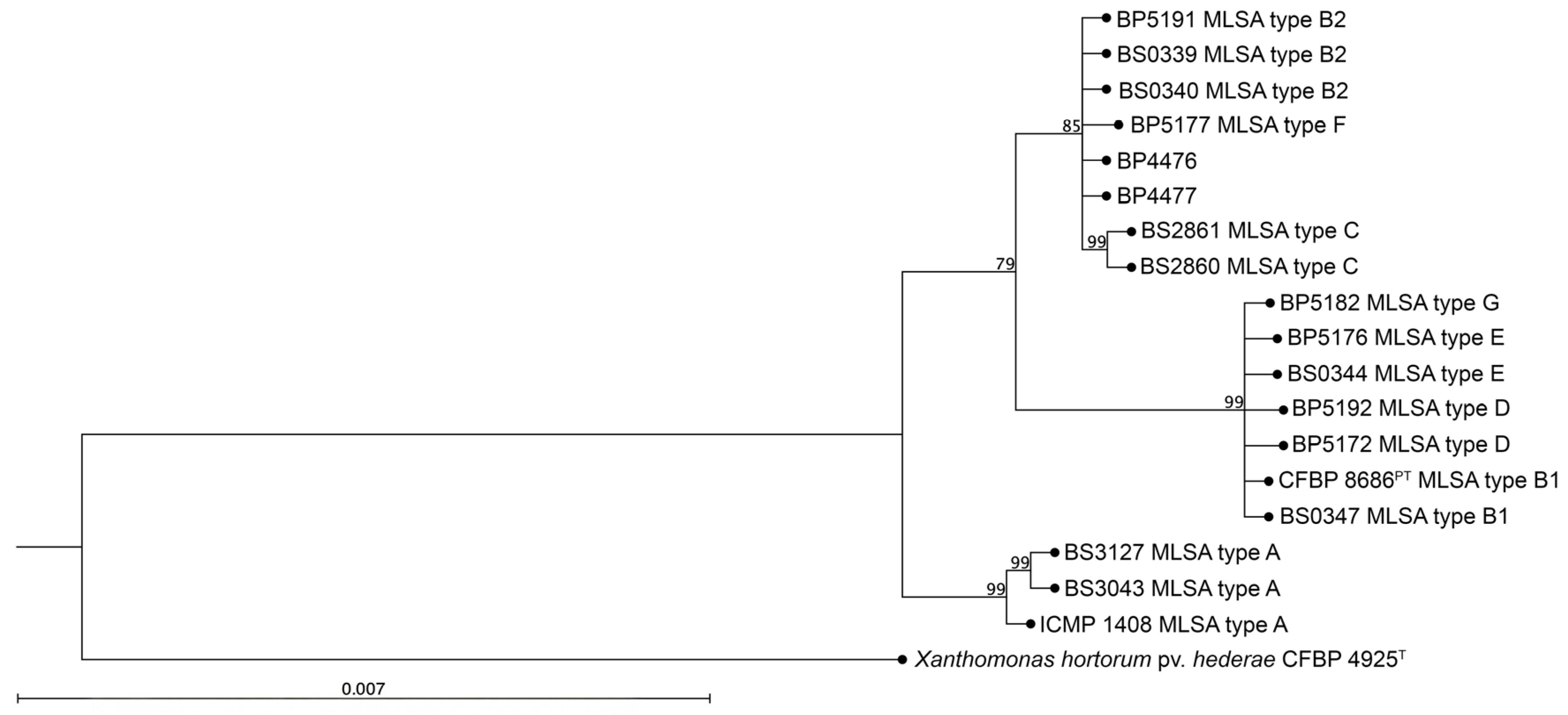 Plants 14 00964 g004
