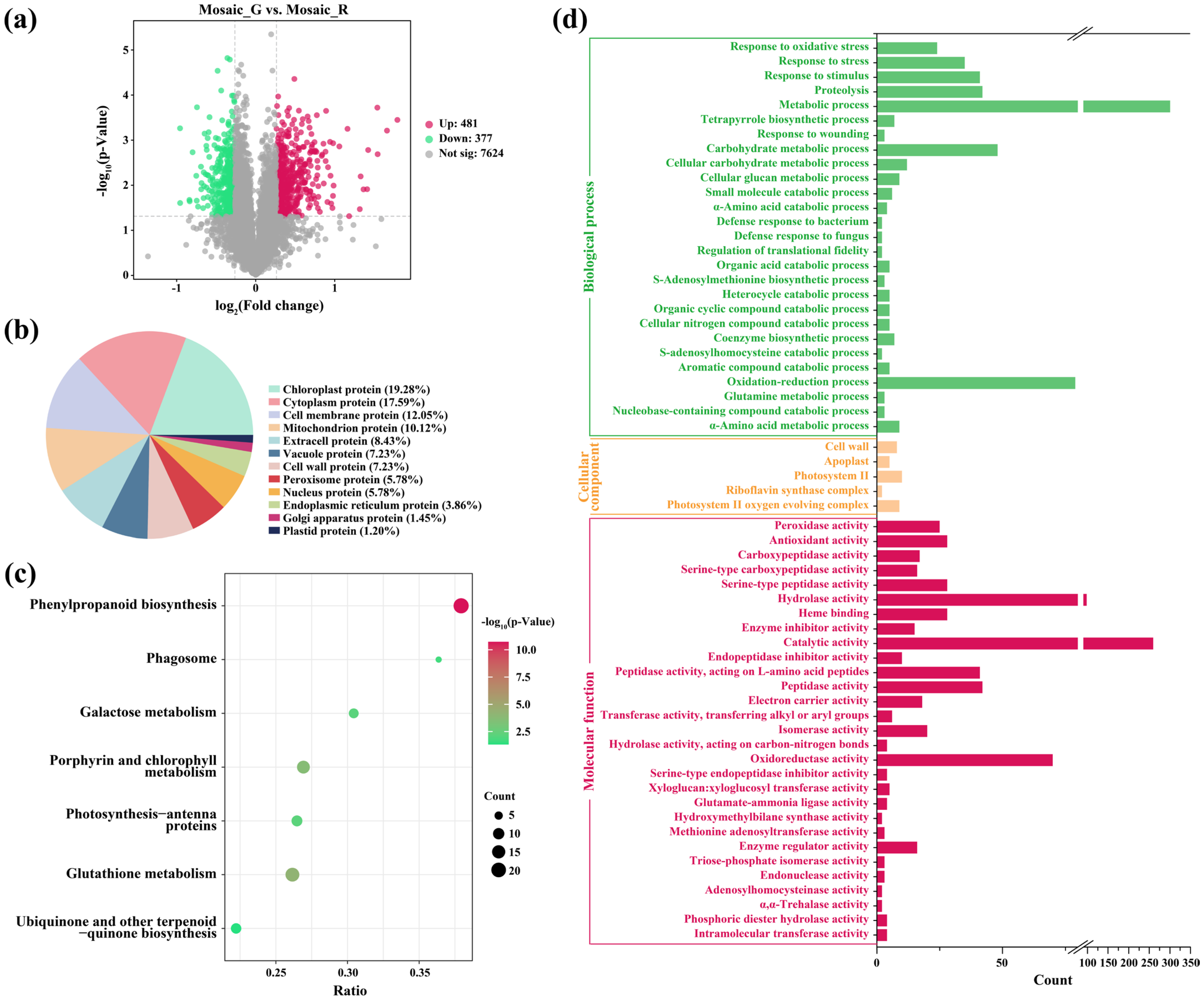 Plants 14 00965 g003