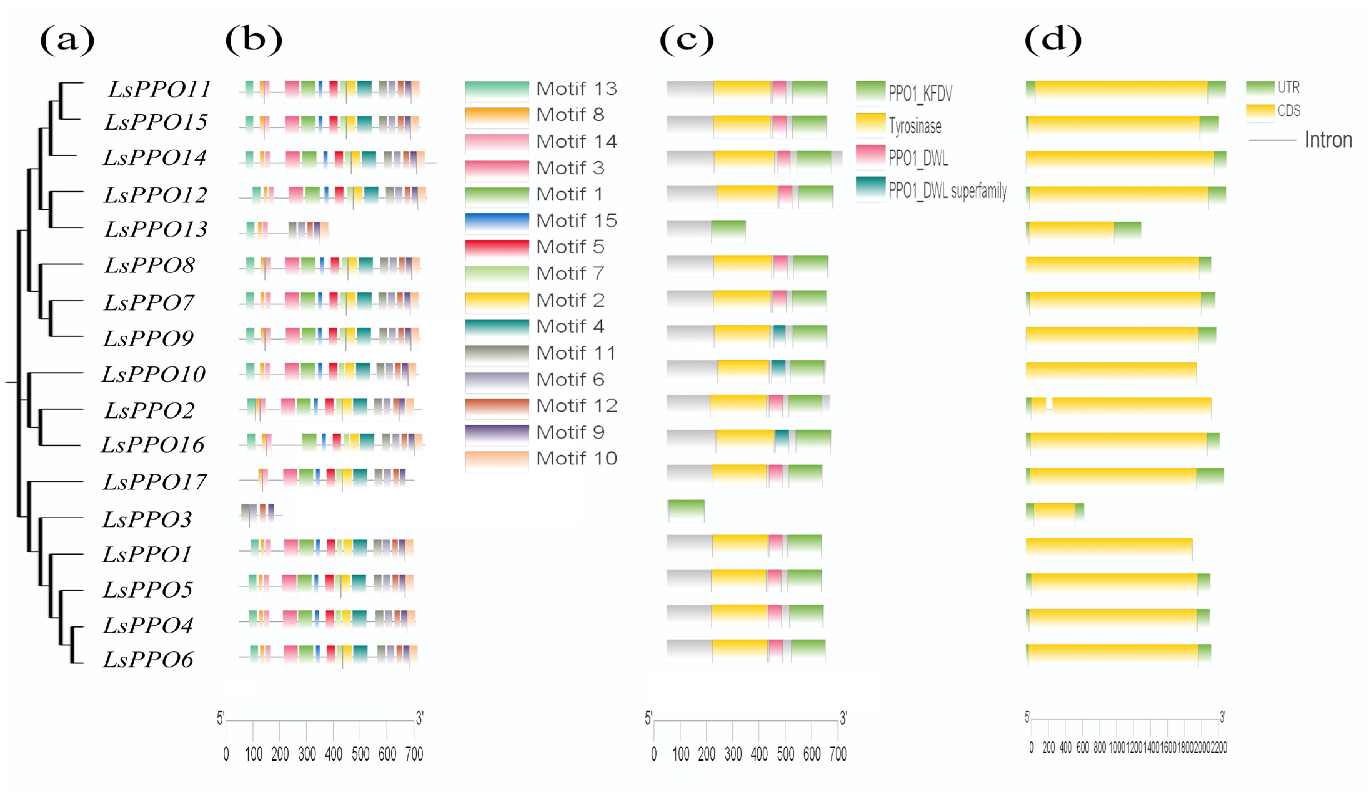 Plants 14 00972 g002