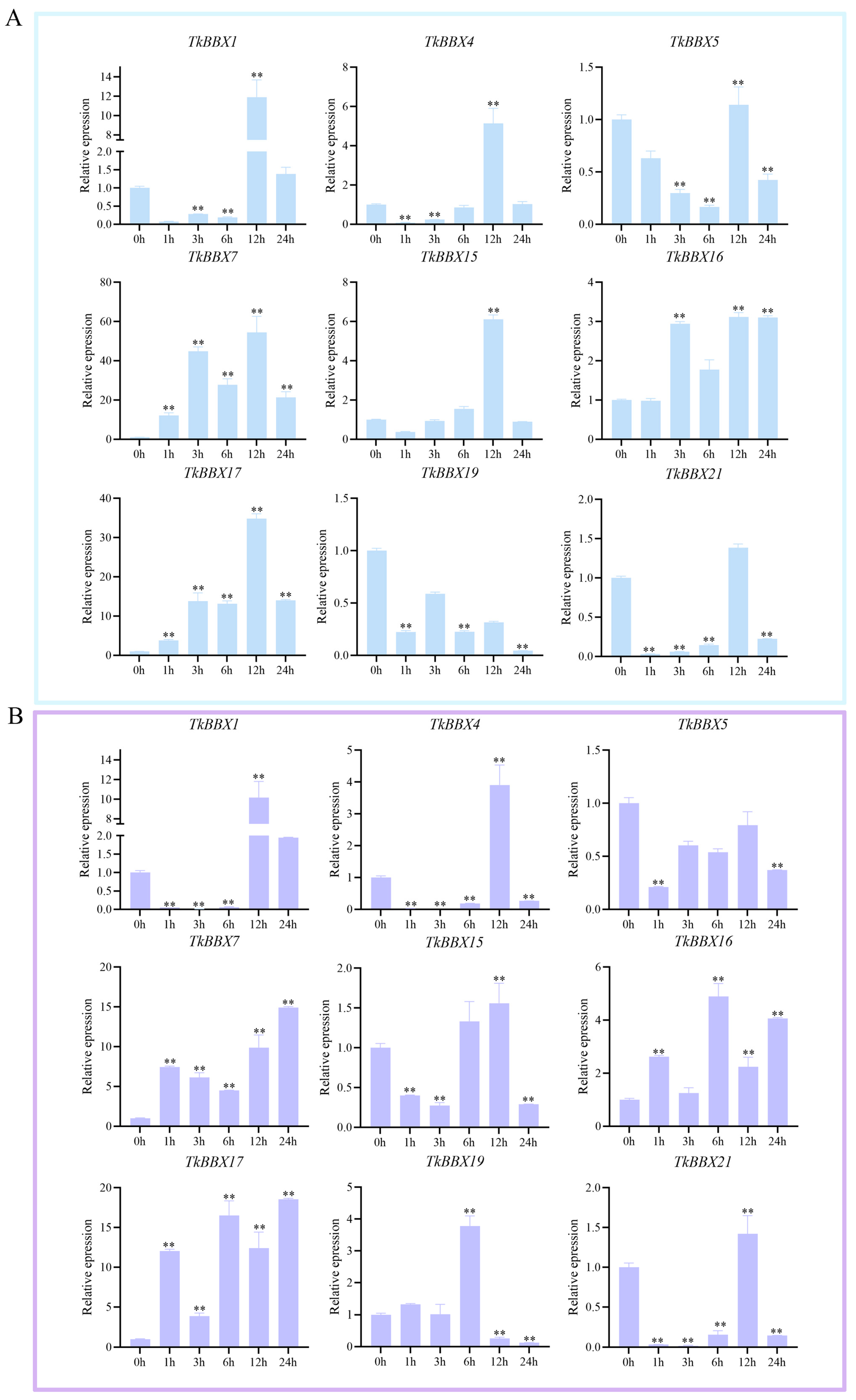 Plants 14 00975 g004