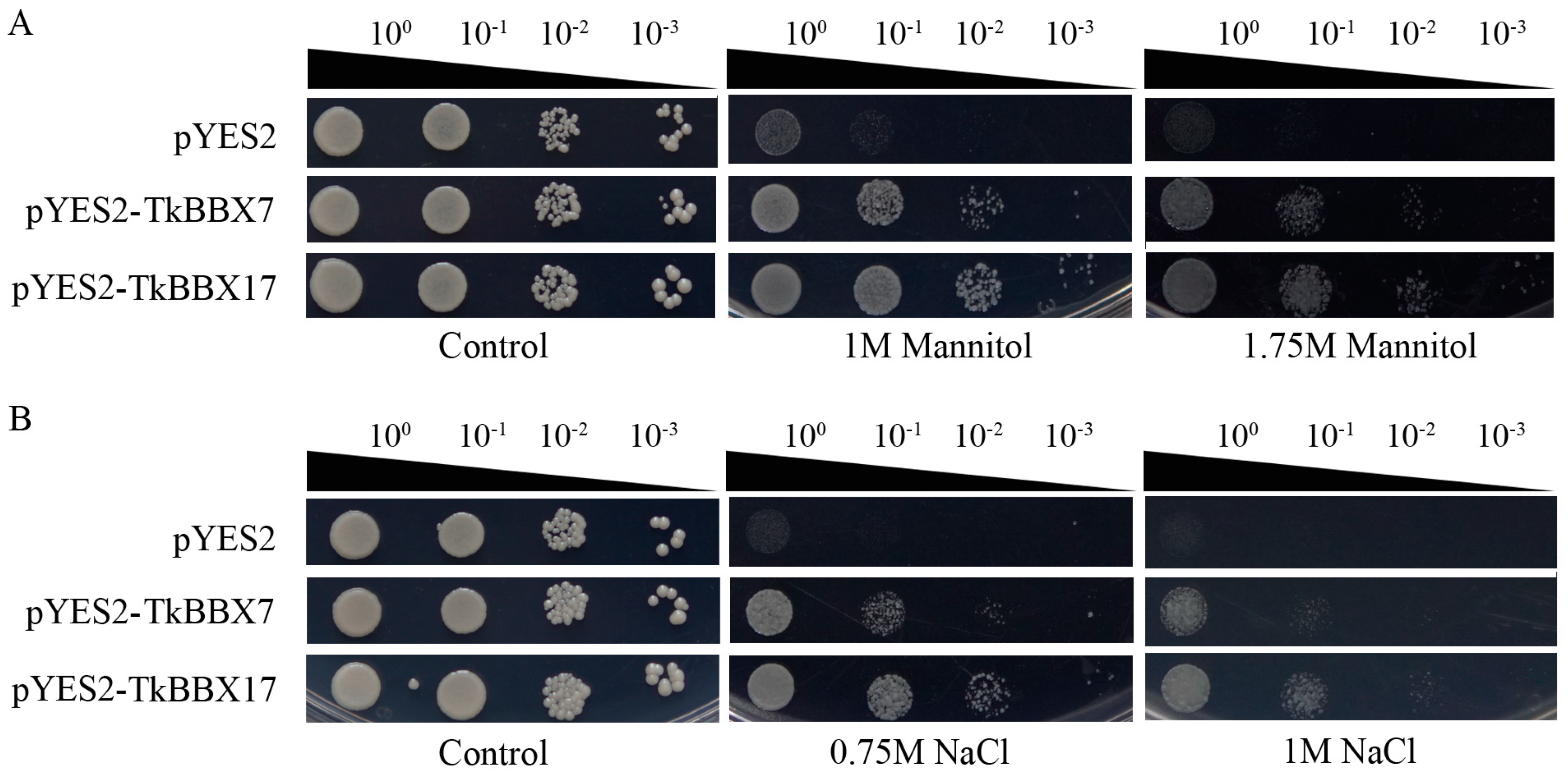 Plants 14 00975 g006