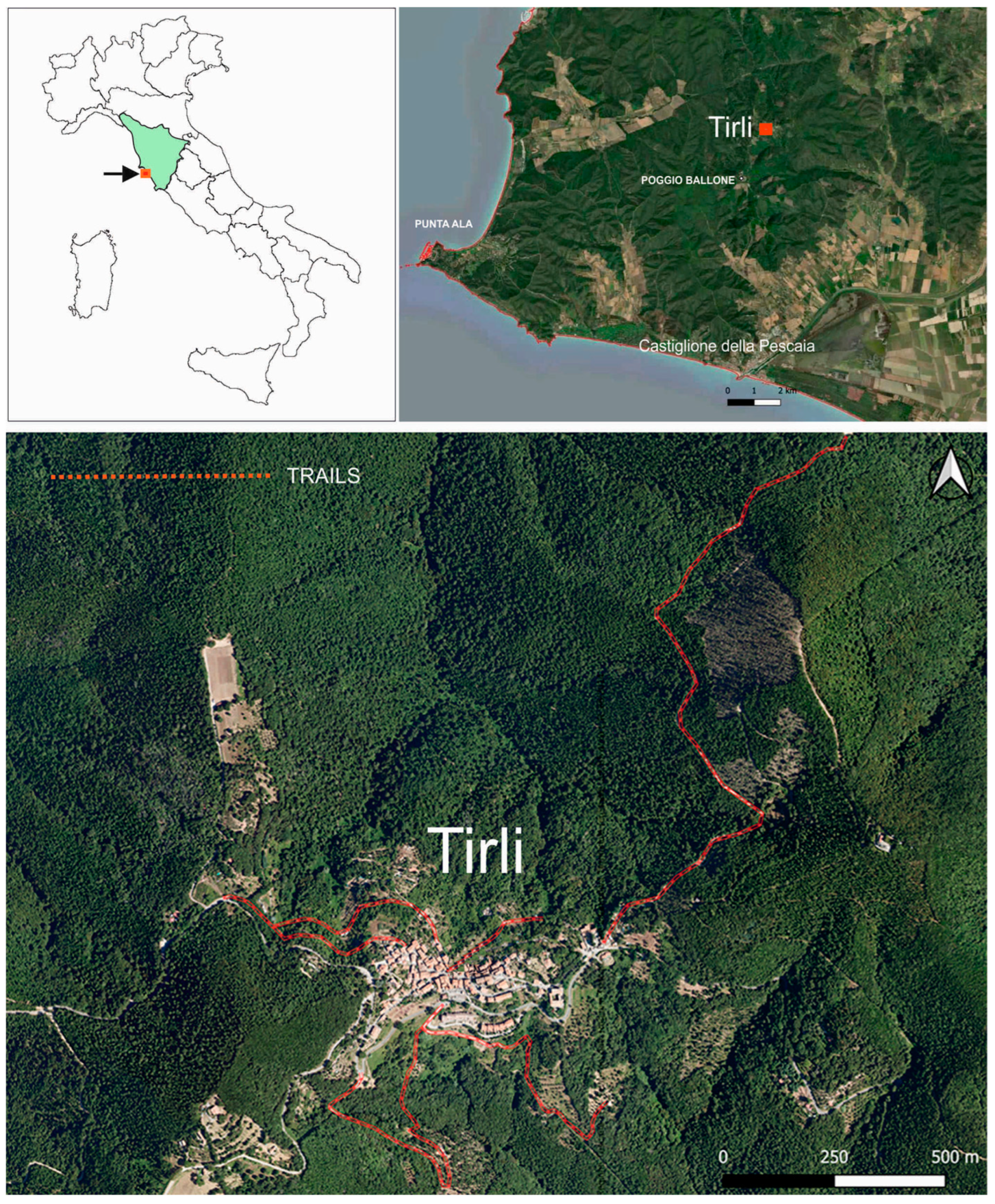 Plants 14 00976 g010