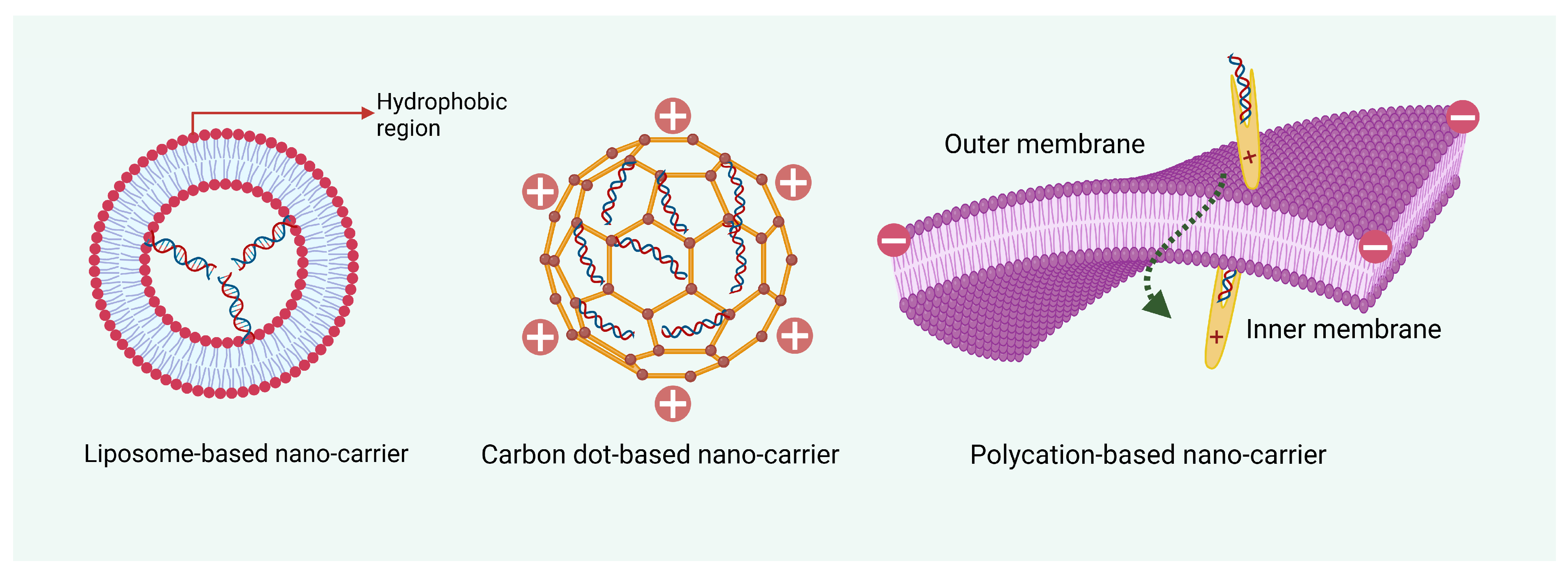 Plants 14 00977 g003