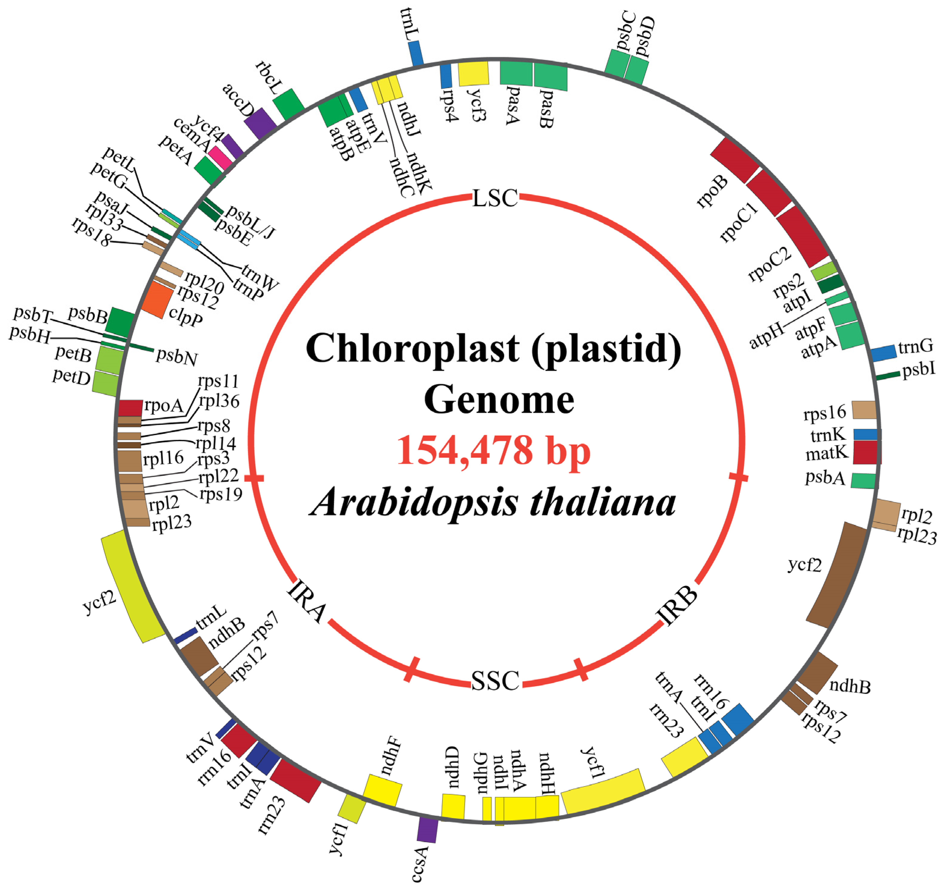 Plants 14 00978 g001