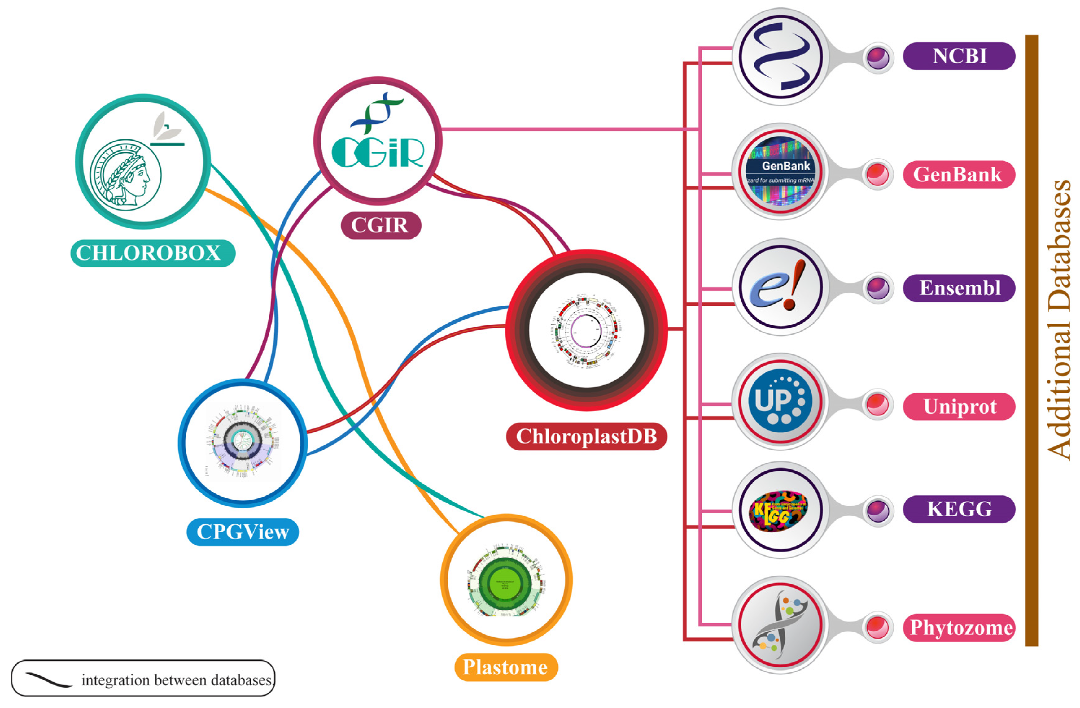 Plants 14 00978 g002