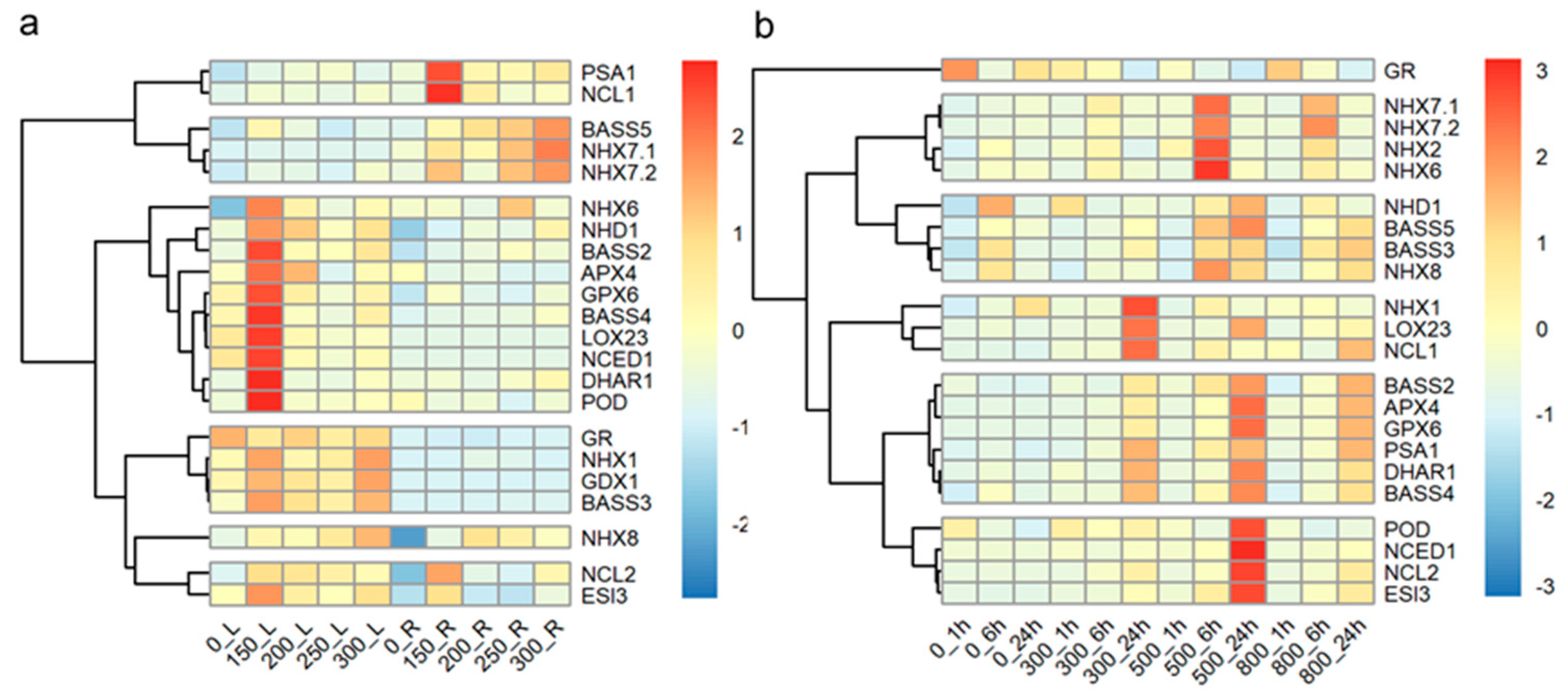 Plants 14 00983 g006