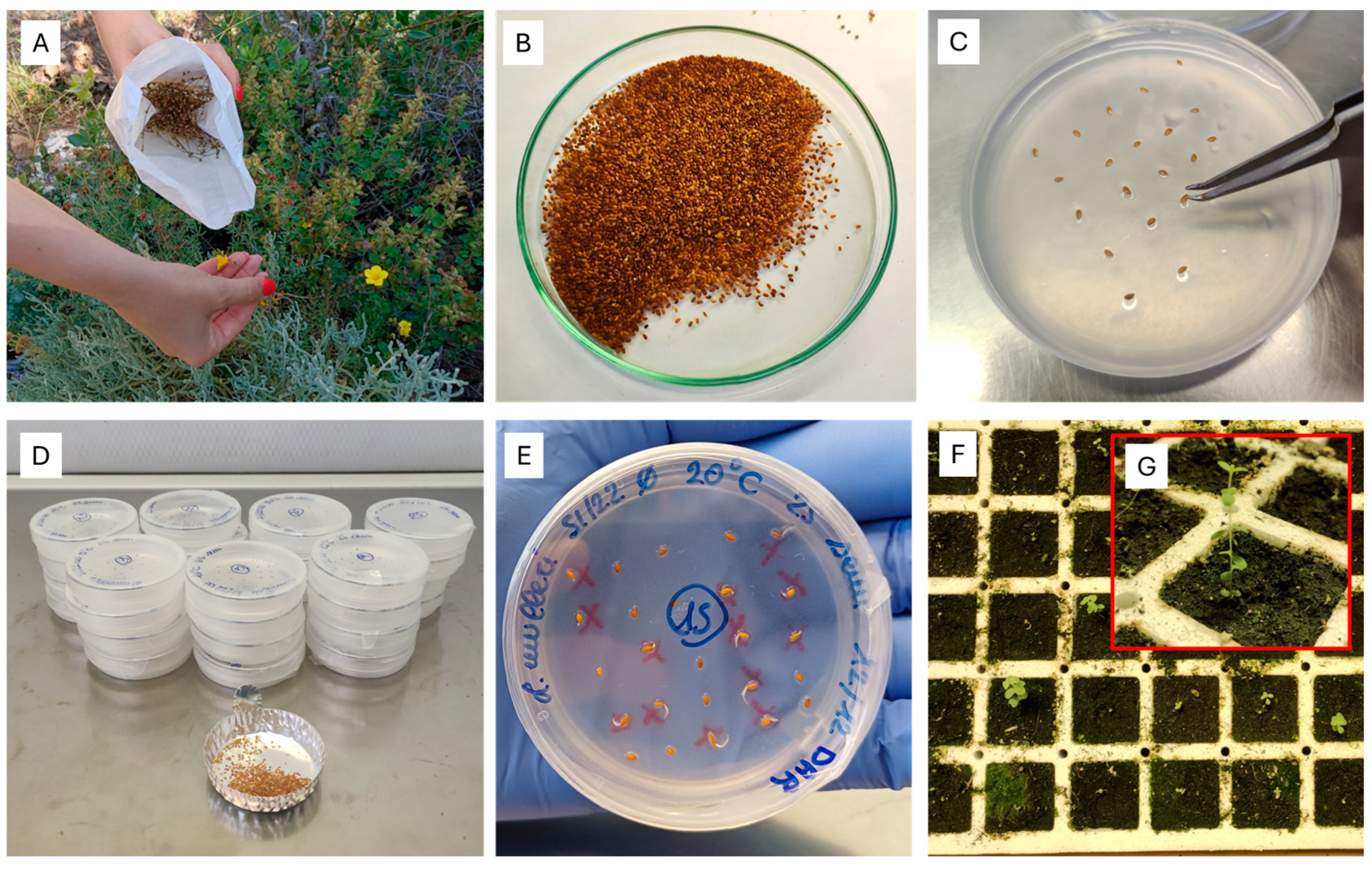 Plants 14 00984 g001