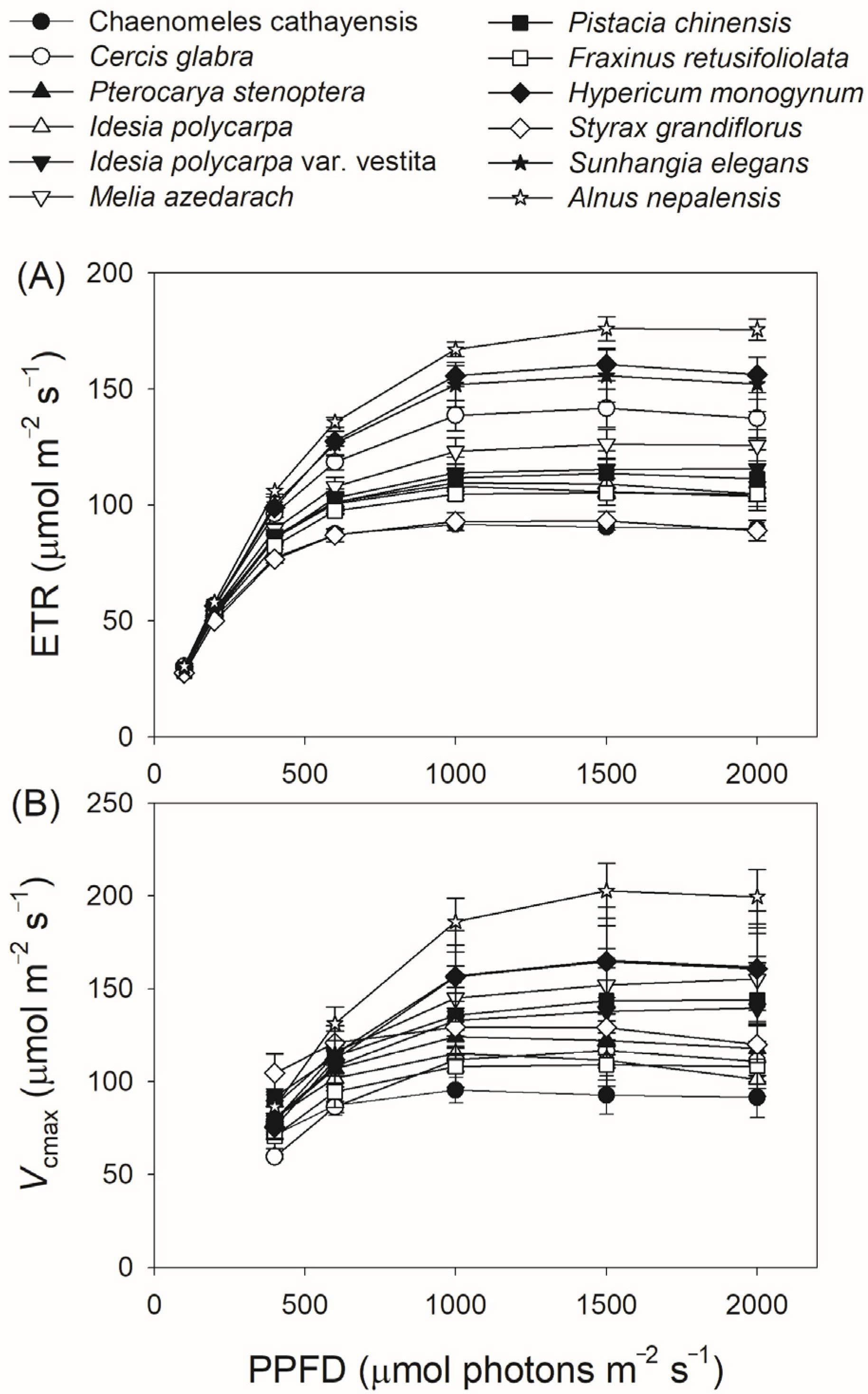 Plants 14 00986 g002
