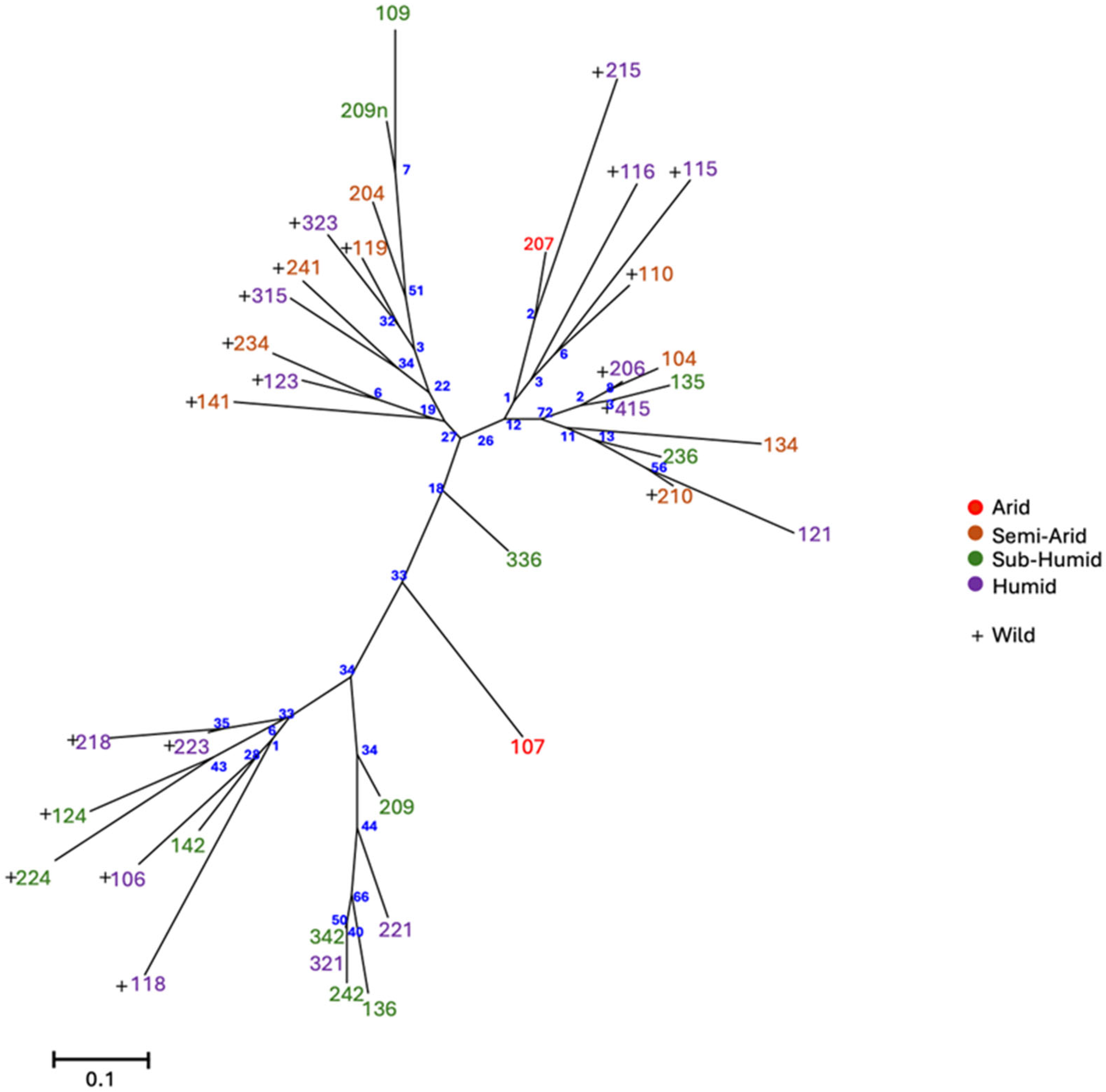 Plants 14 00990 g002
