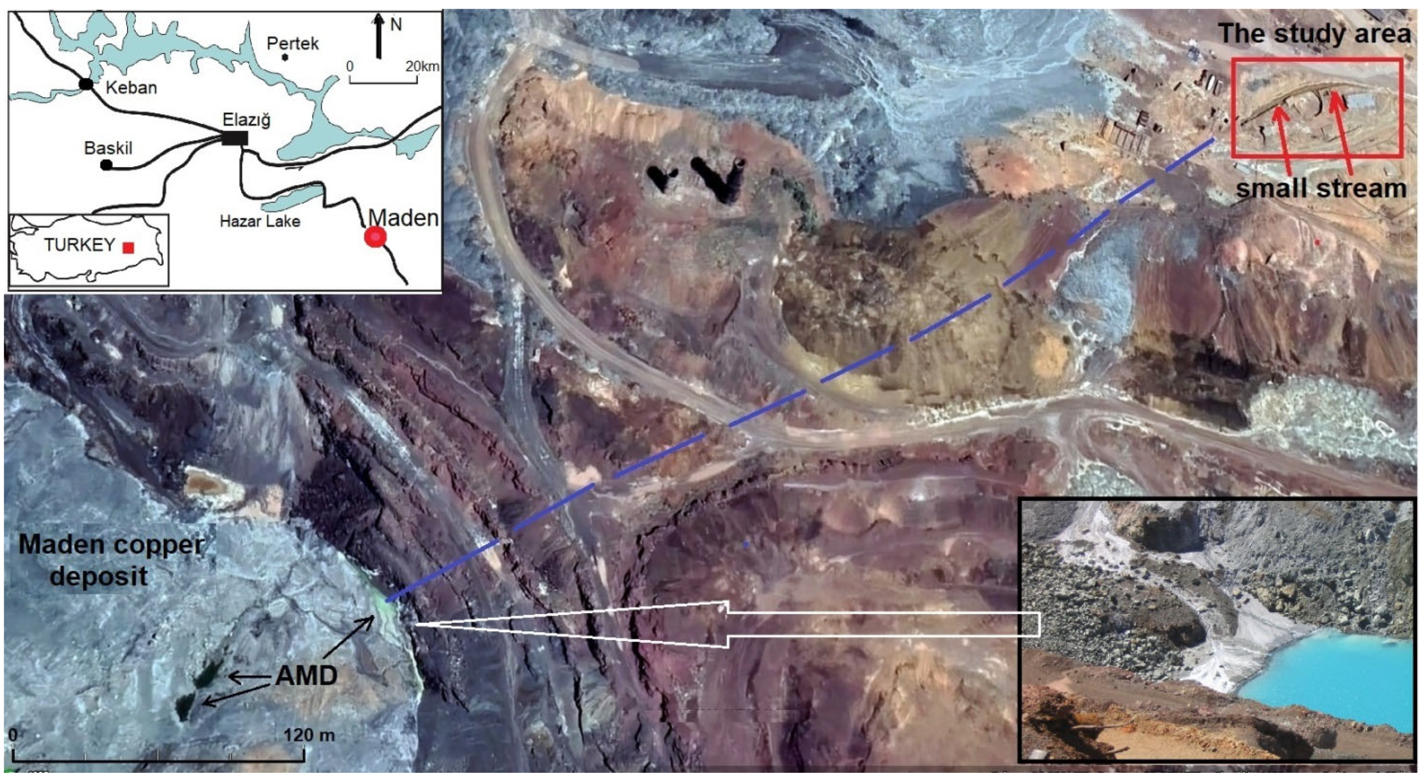 Plants 14 00993 g001