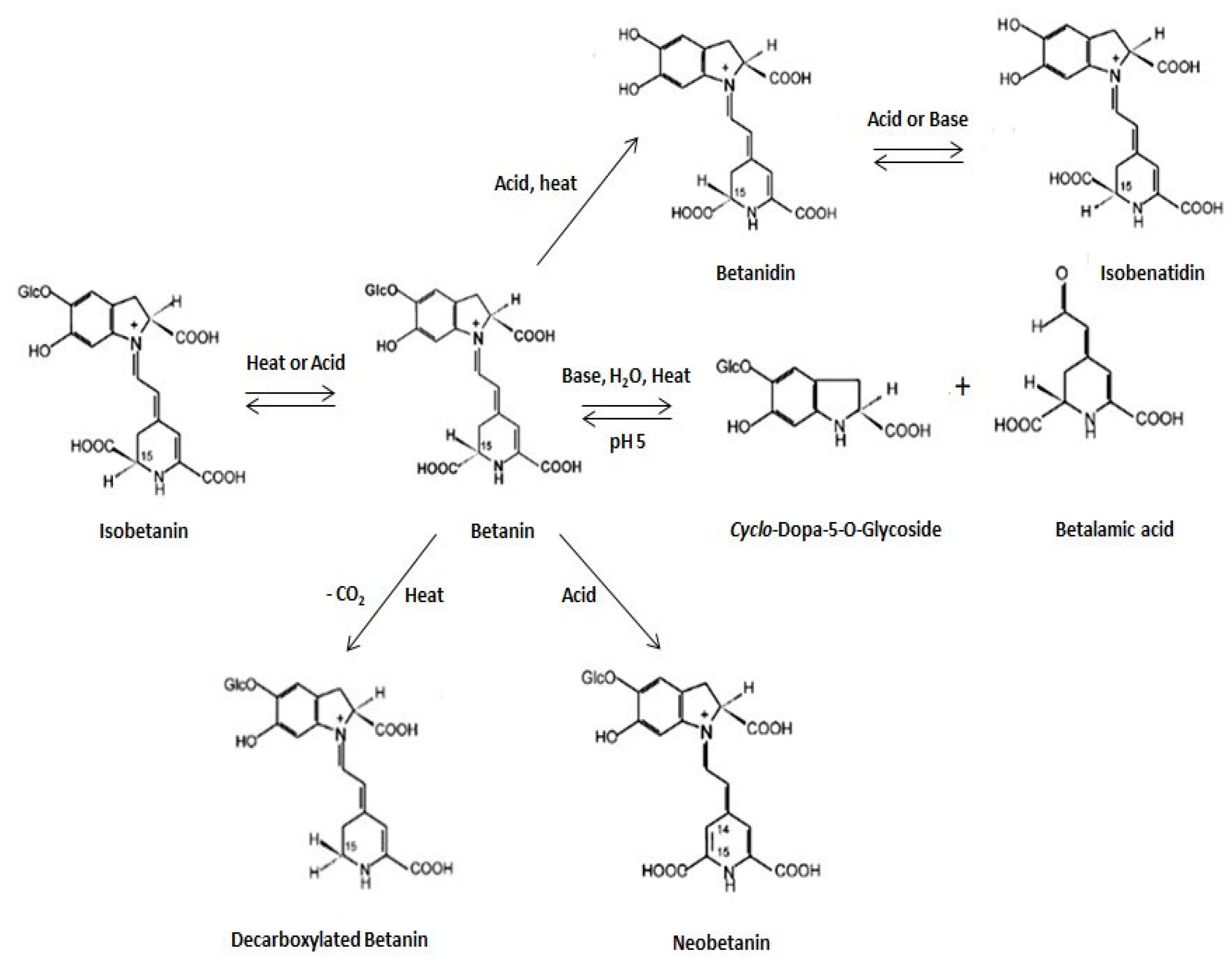 Plants 14 00994 g002