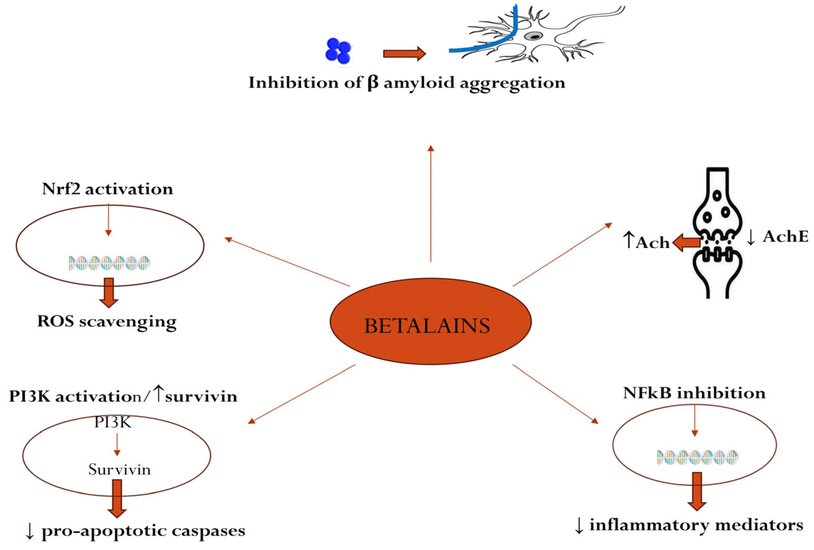 Plants 14 00994 g003