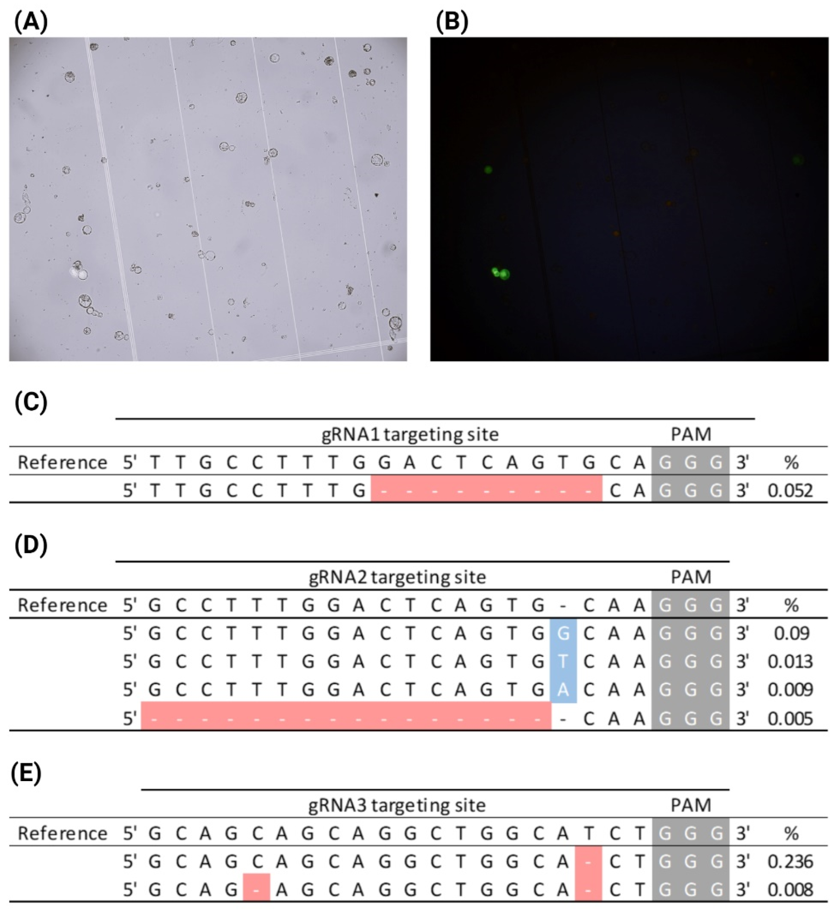Plants 14 00996 g003