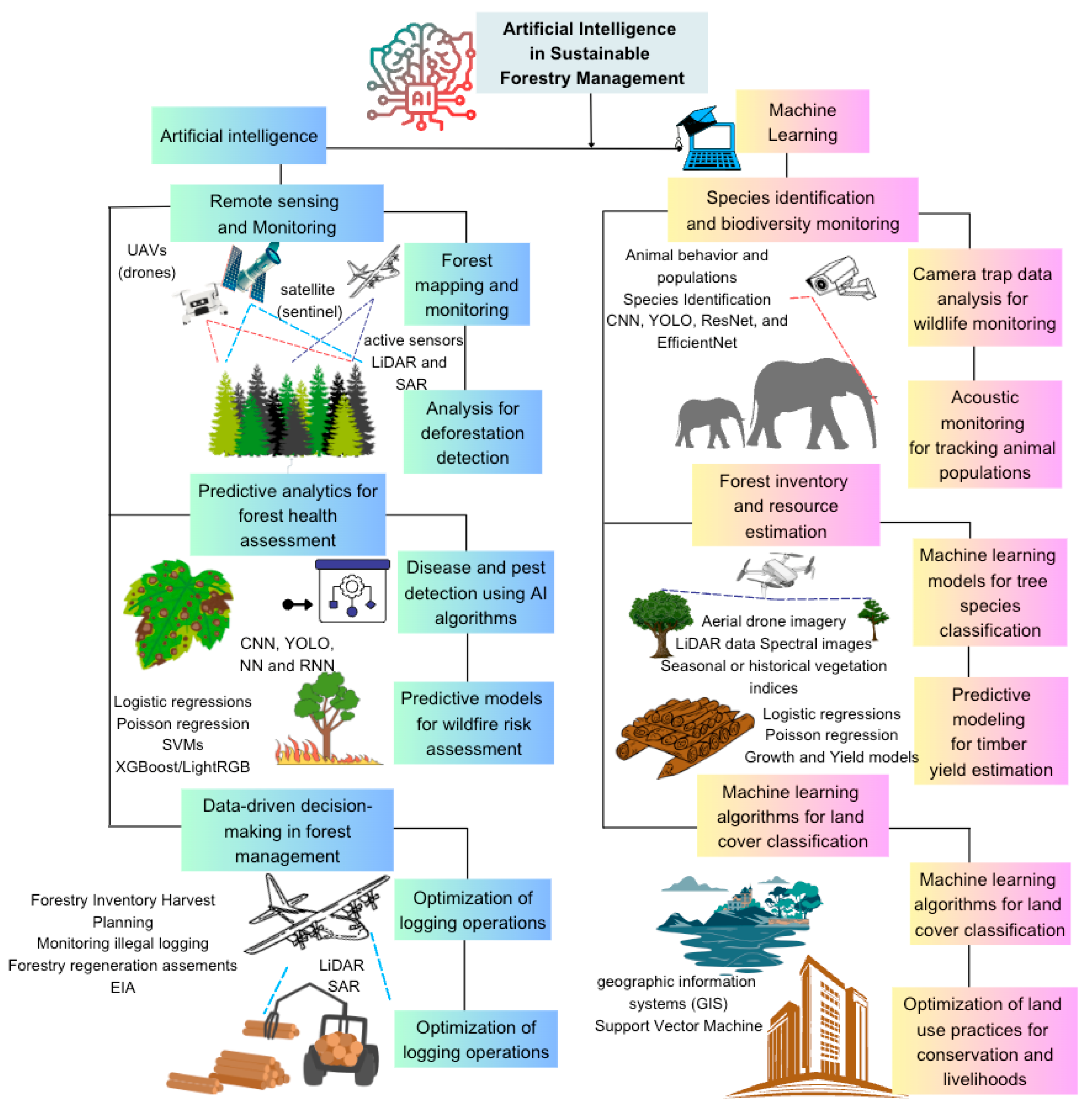 Plants 14 00998 g003