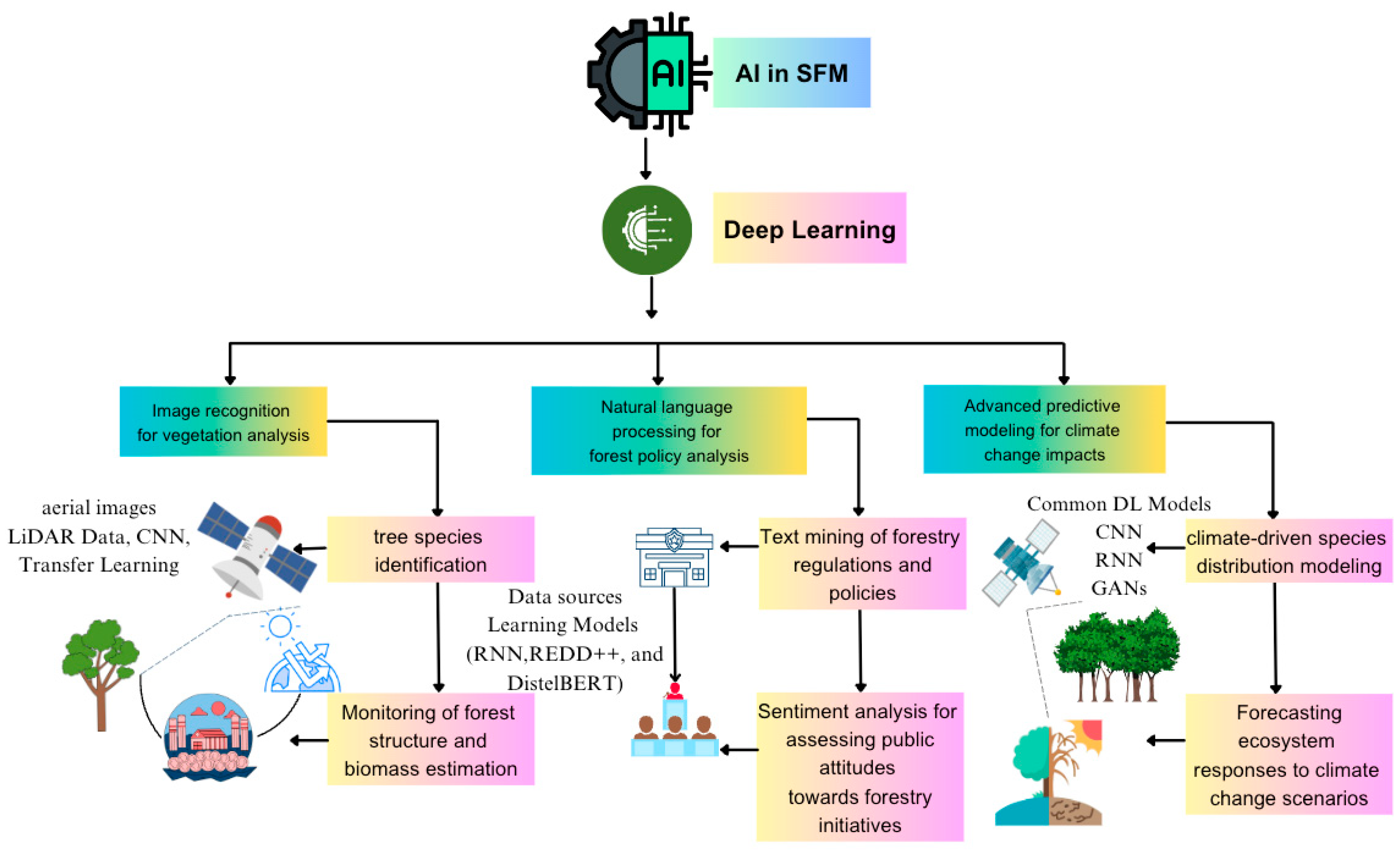 Plants 14 00998 g004