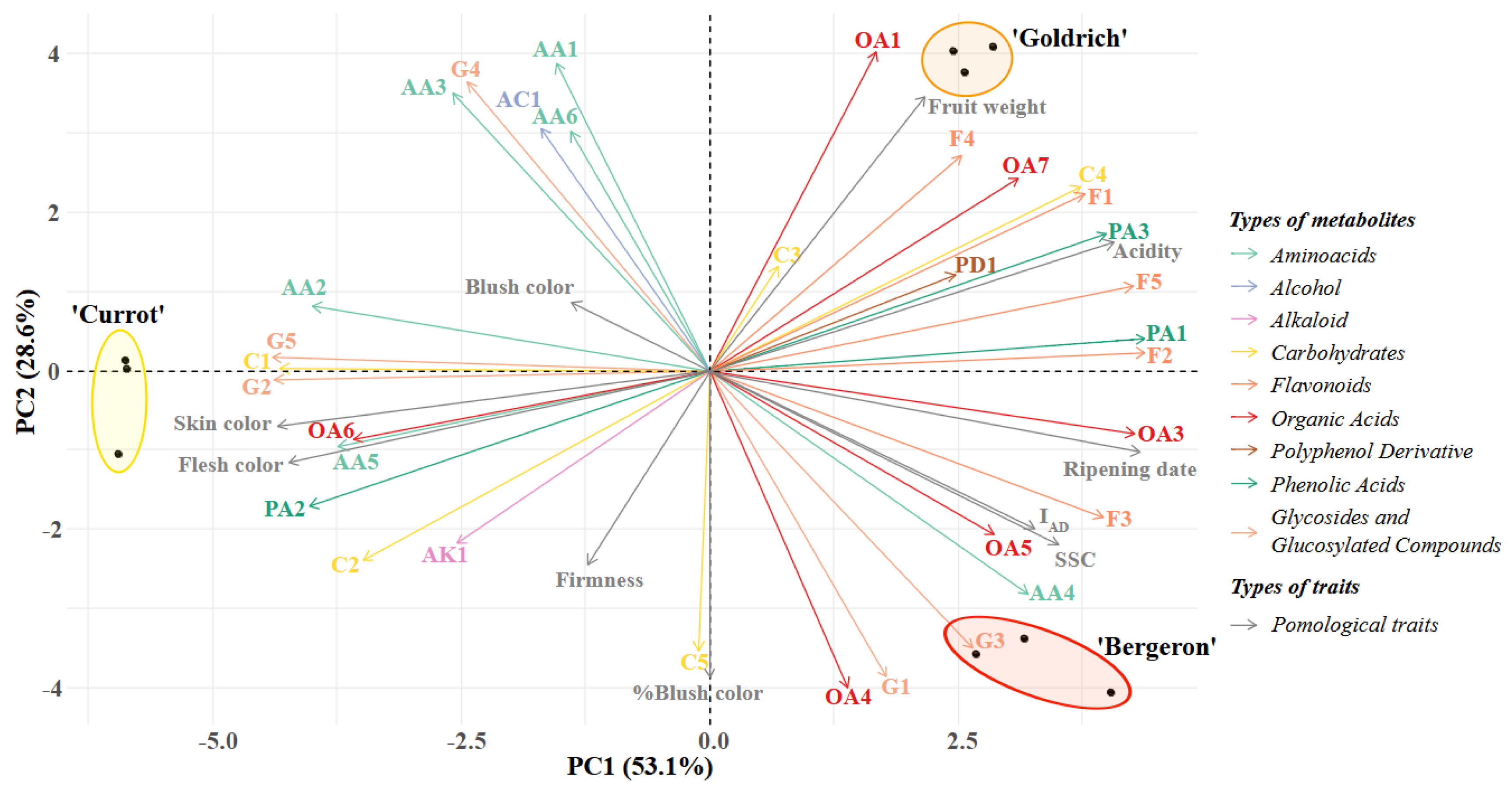 Plants 14 01000 g001