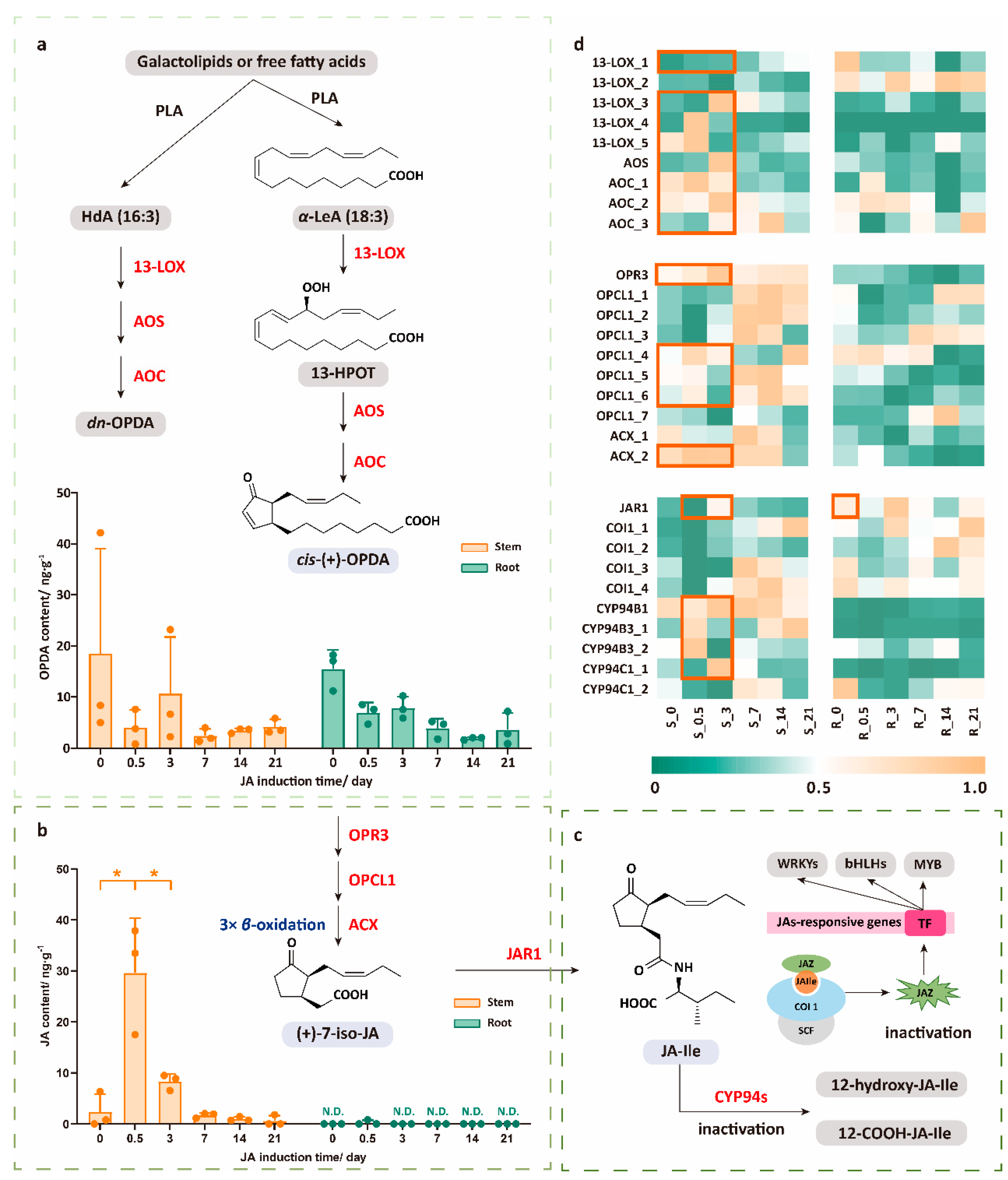 Plants 14 01001 g001