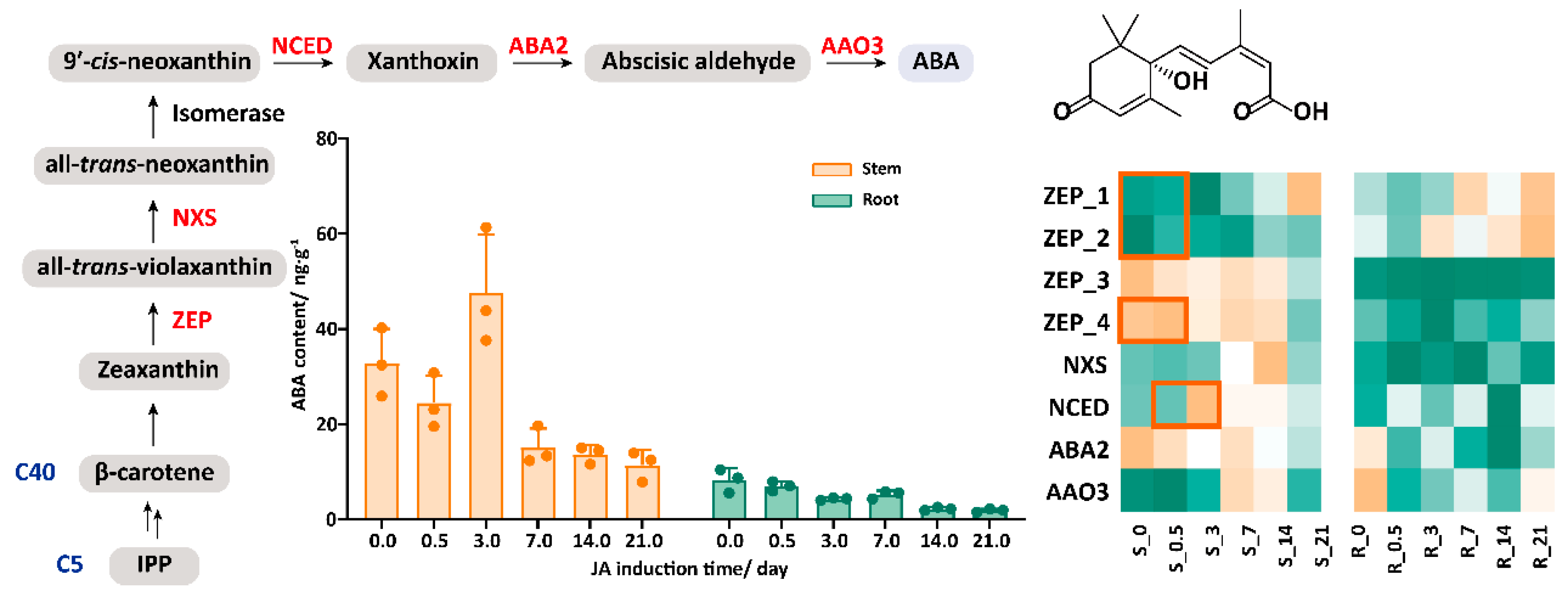 Plants 14 01001 g002