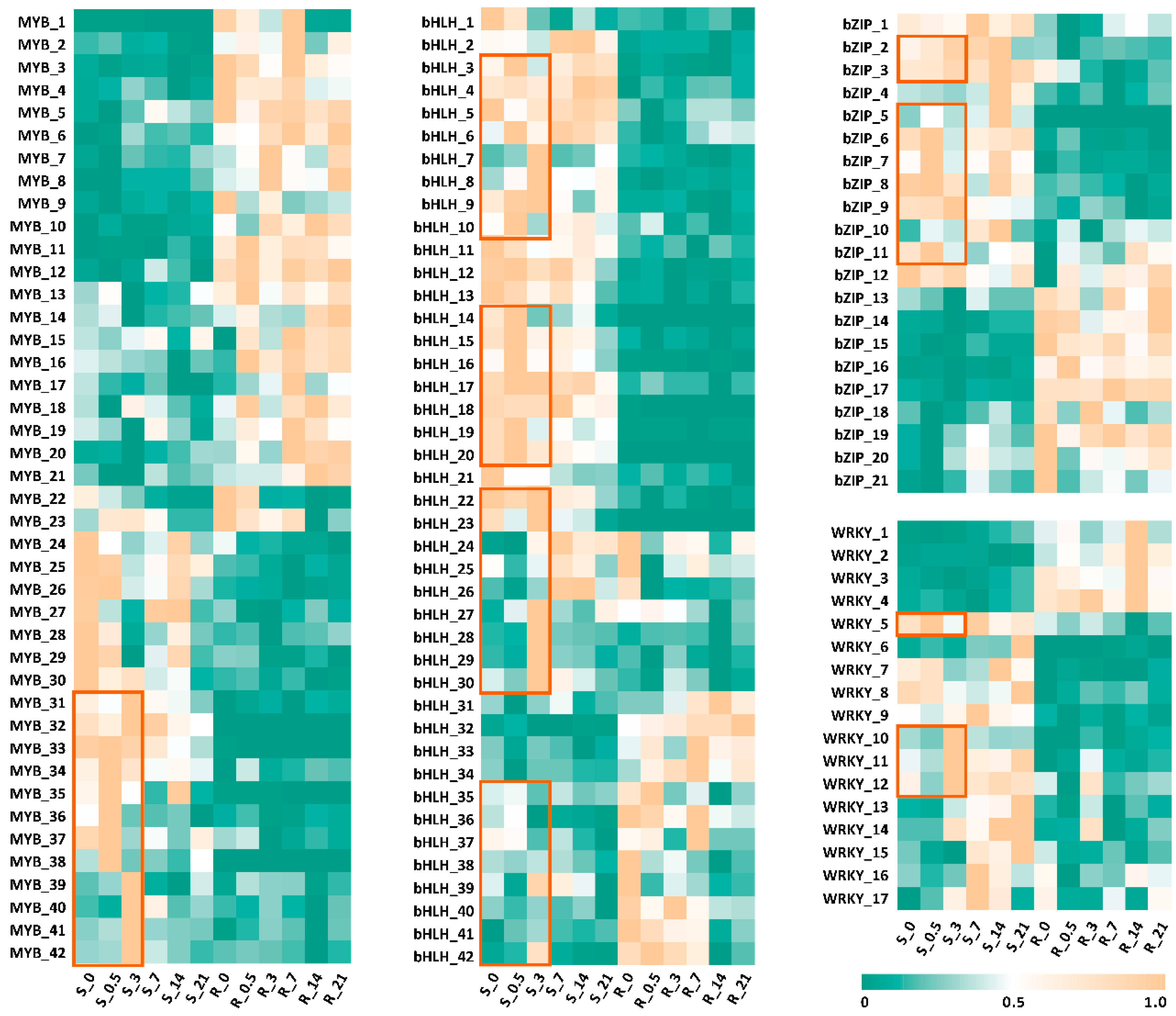 Plants 14 01001 g004