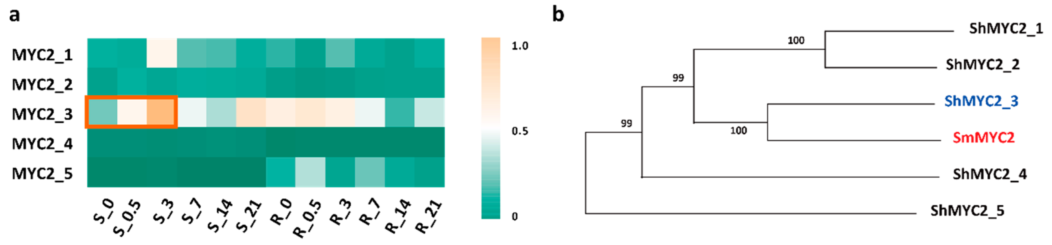Plants 14 01001 g005