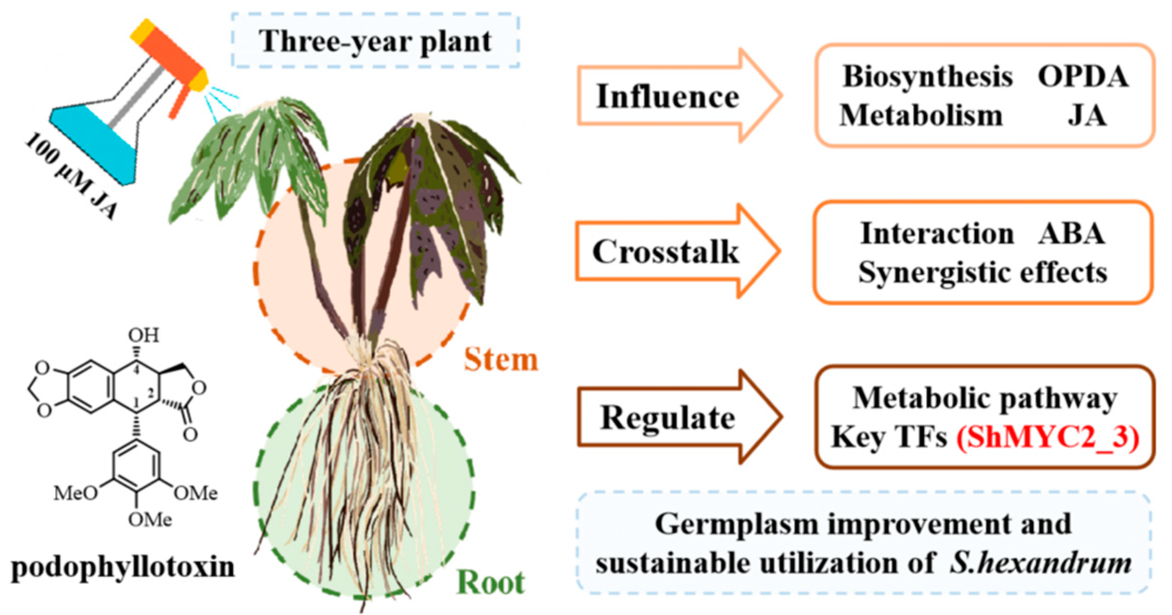 Plants 14 01001 g006