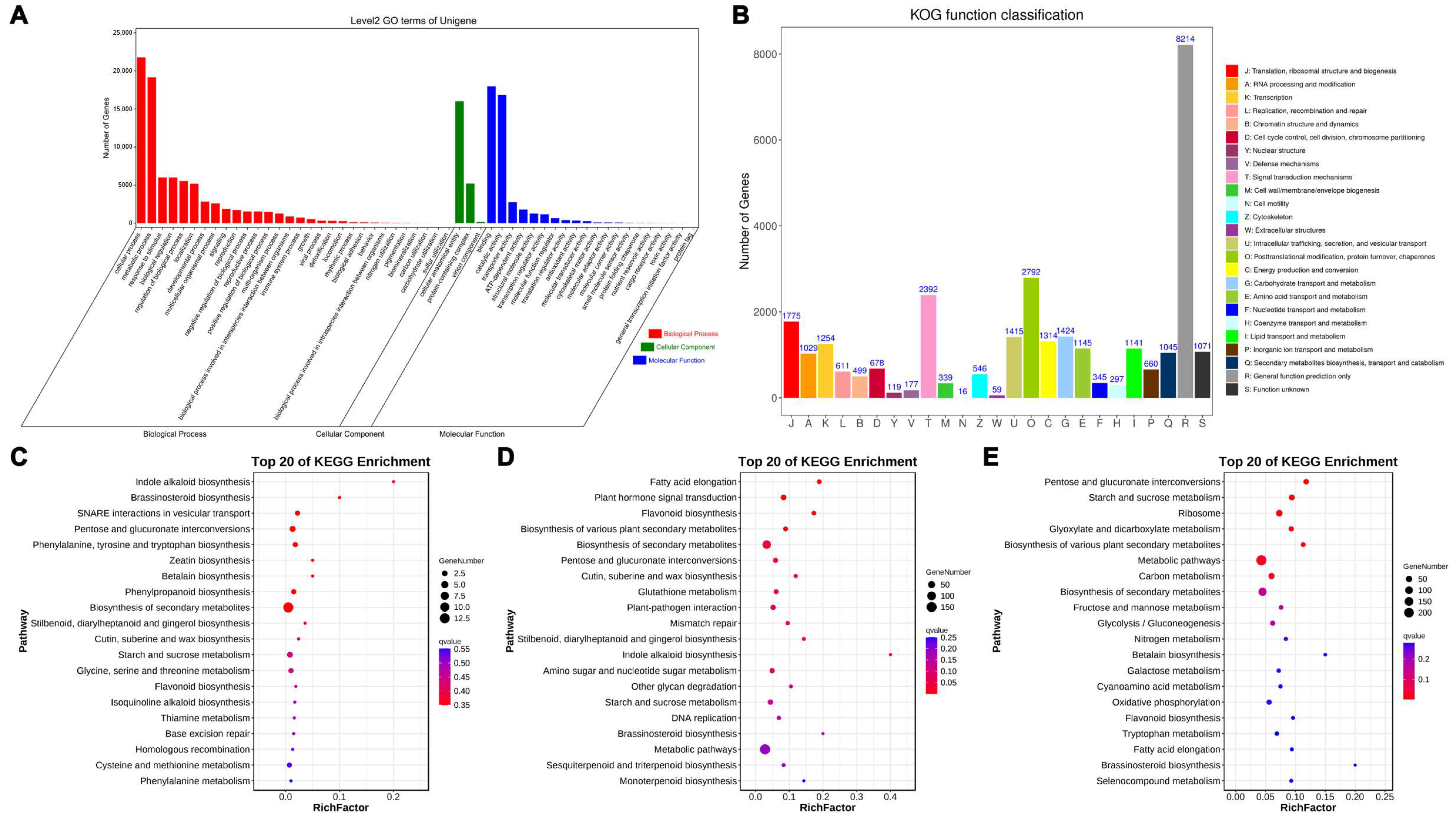 Plants 14 01002 g004