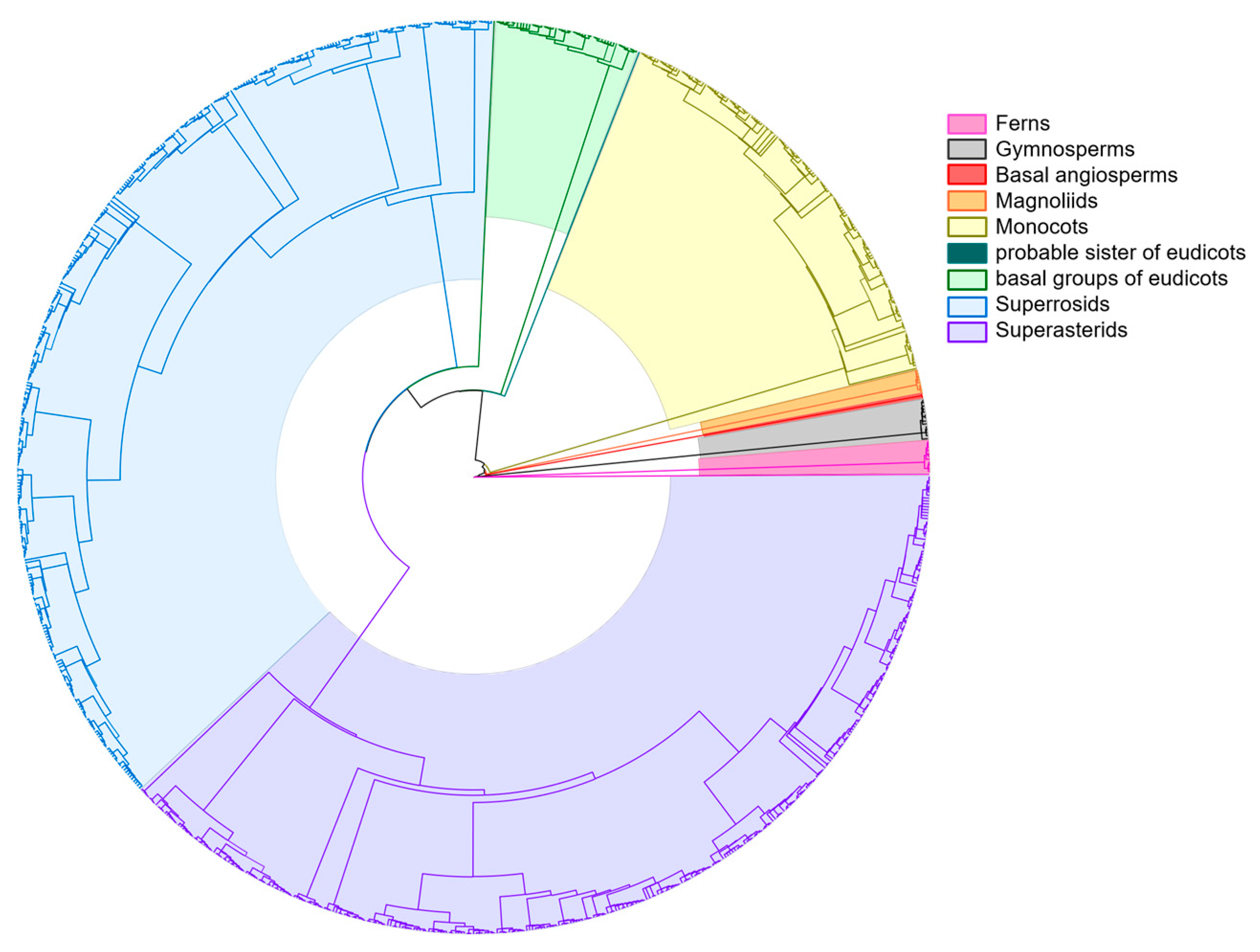 Plants 14 01006 g001