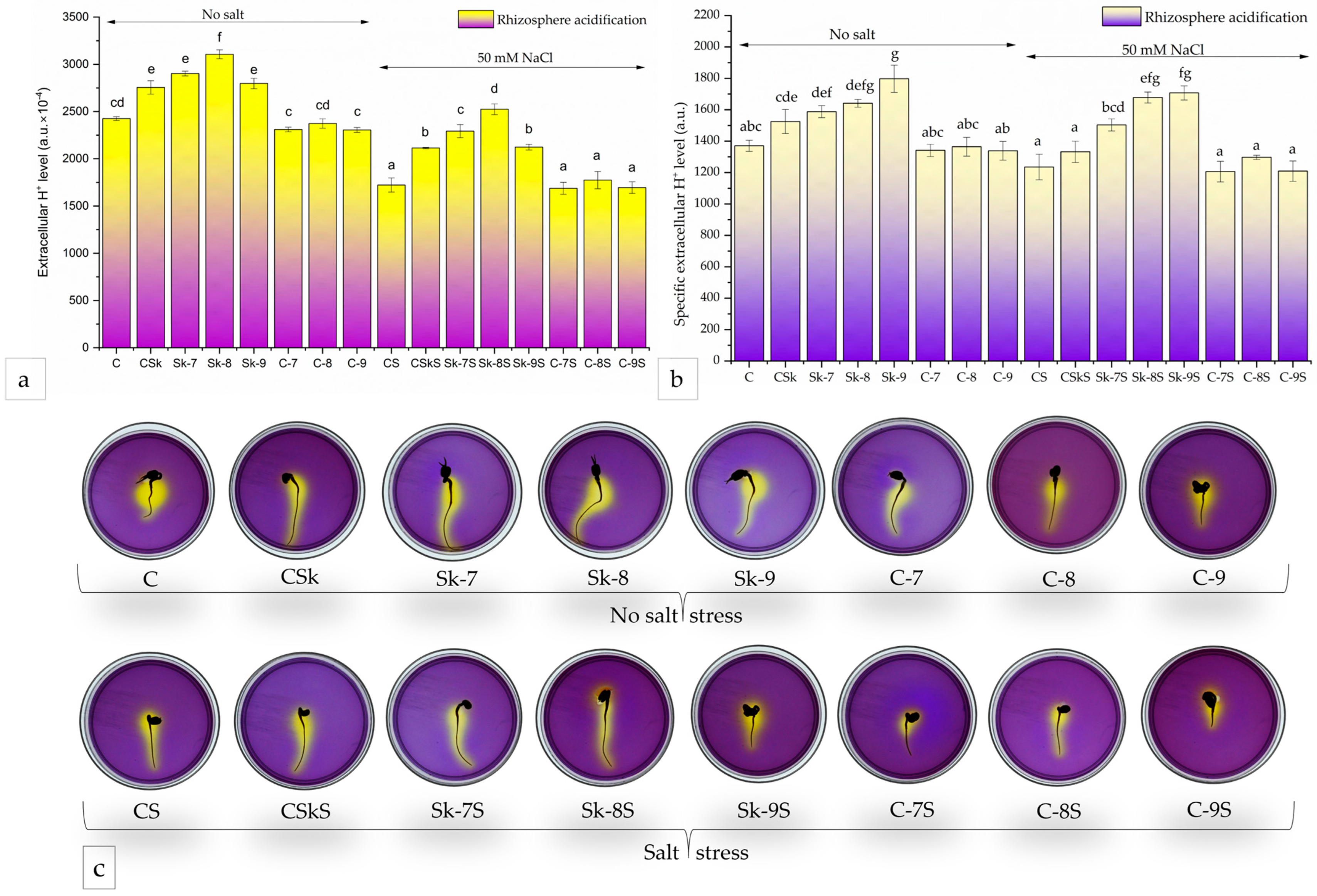 Plants 14 01010 g007