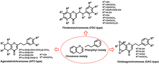 Biosynthesis and Its Regulatory Mechanisms of 2-(2
