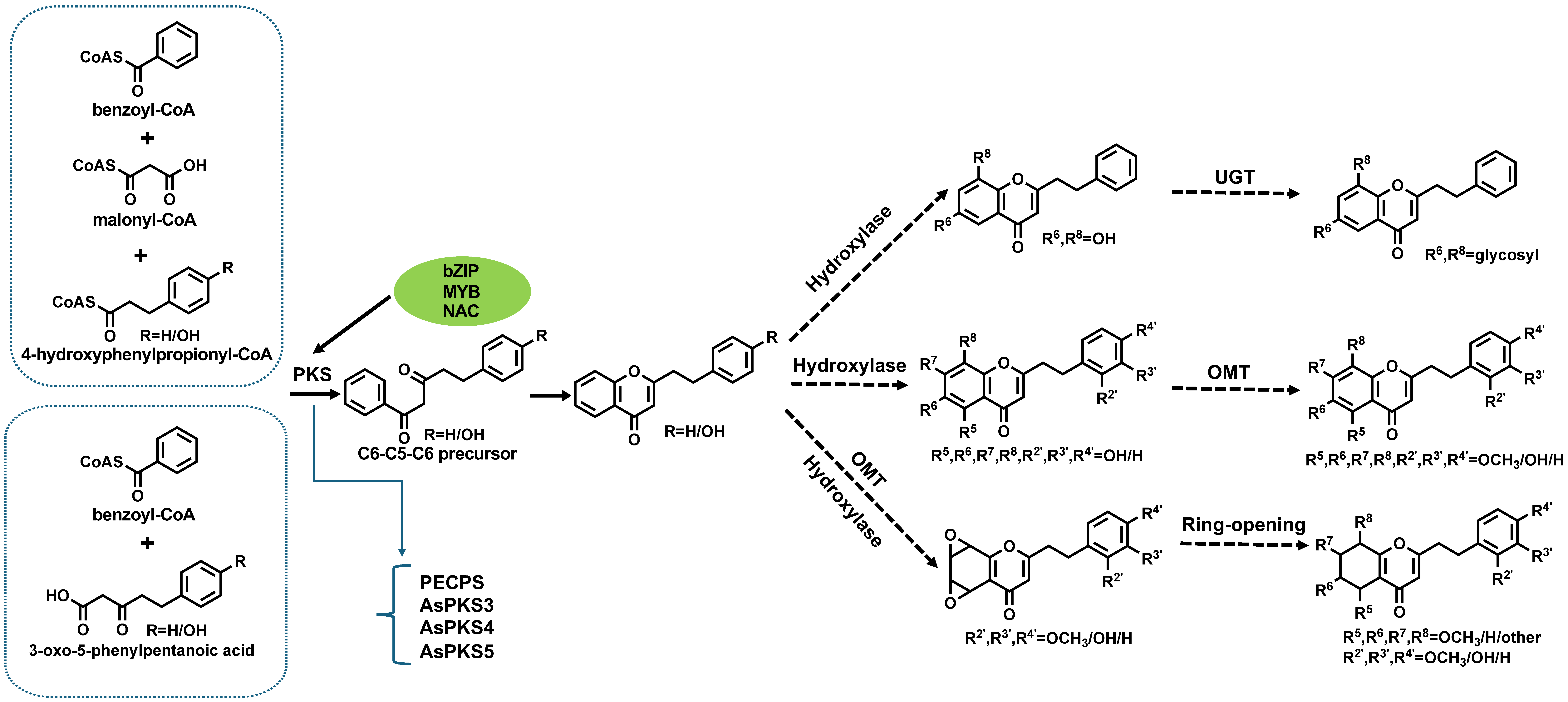 ORオーダー専用ページ Branew - Toyota Land Cruiser 200 Aero Parts - Nengun Performance