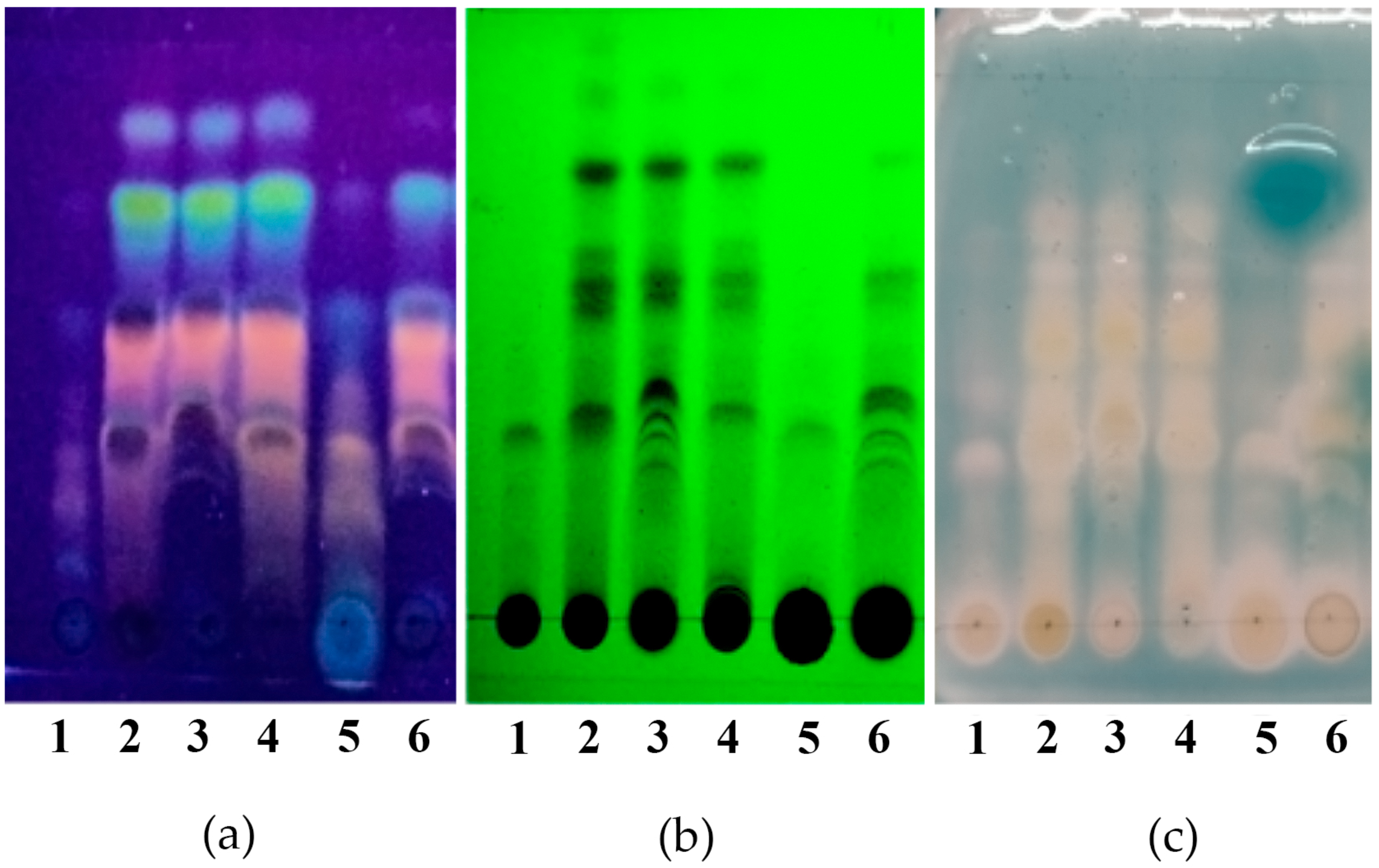 Plants 14 01016 g002